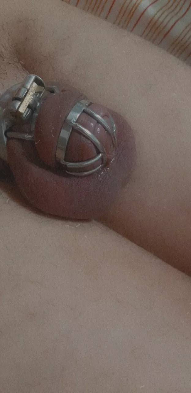 Tiny clitty locked and leaking, as it should be