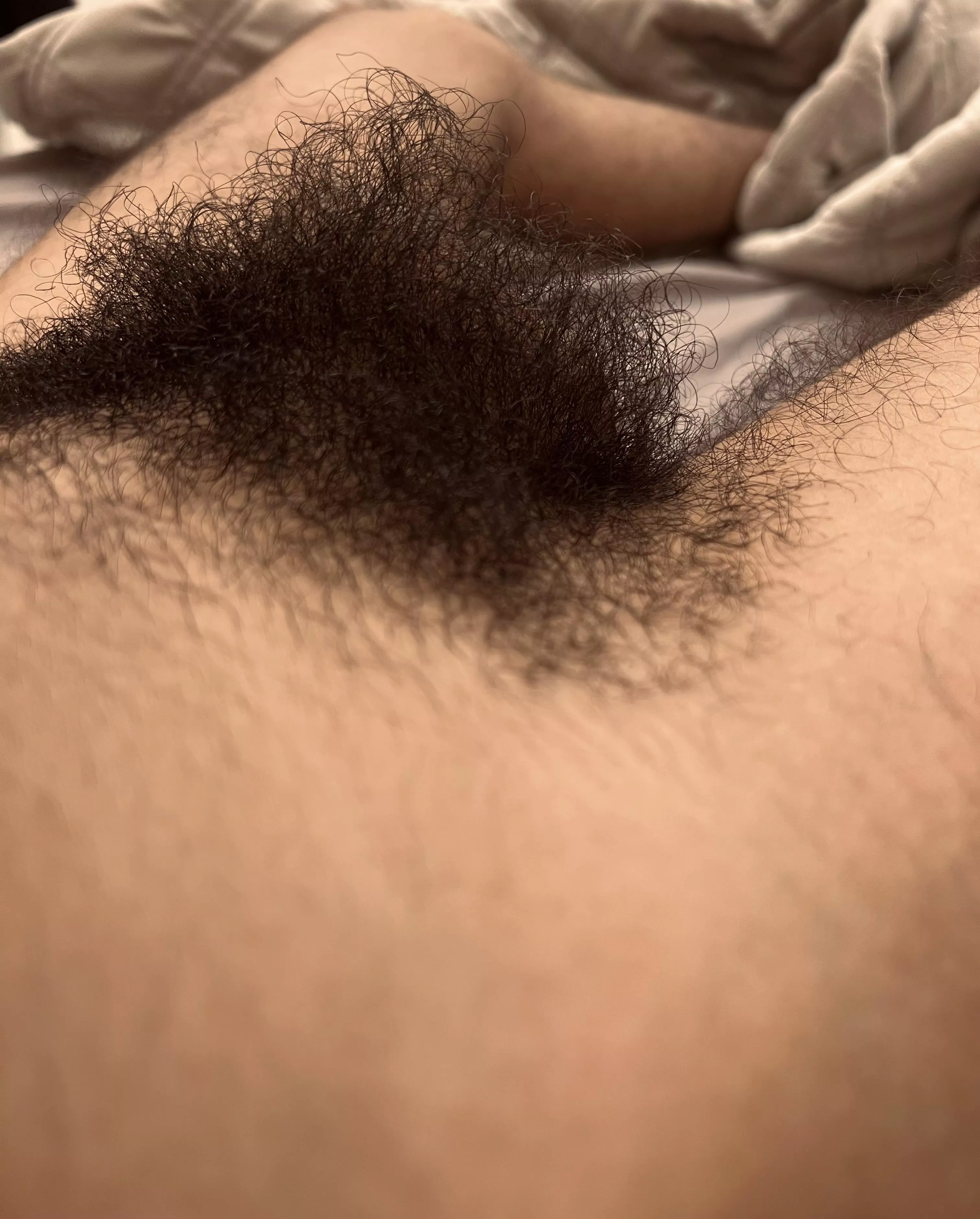 Too hairy for you?