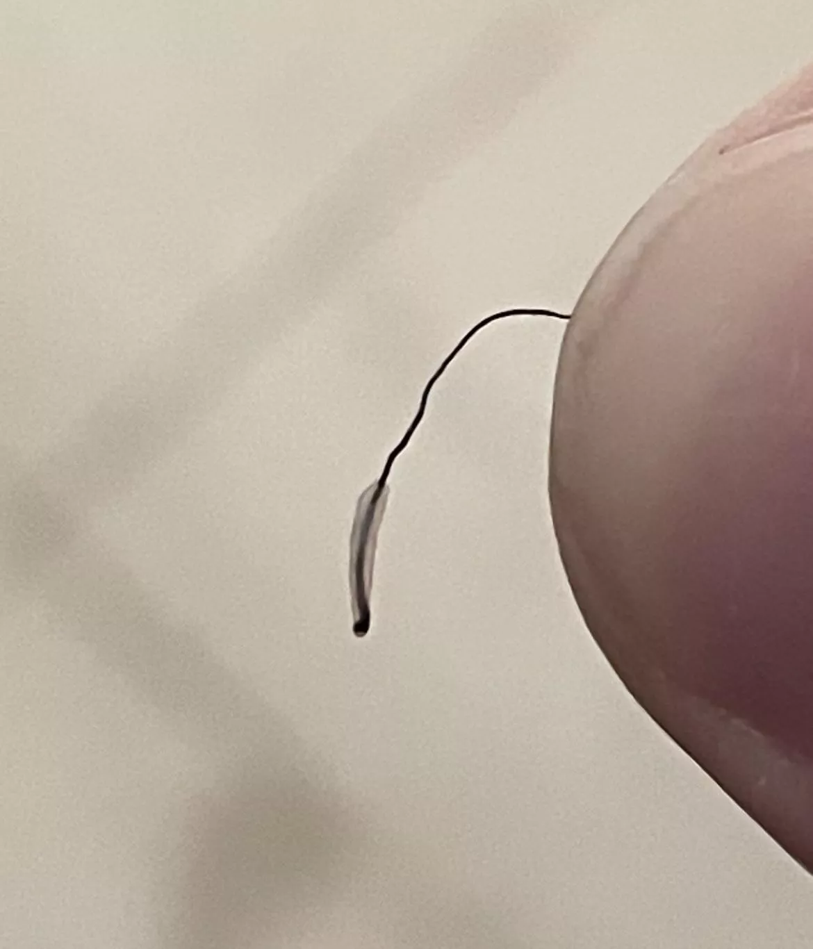 Took an ingrown hair out, it came like this