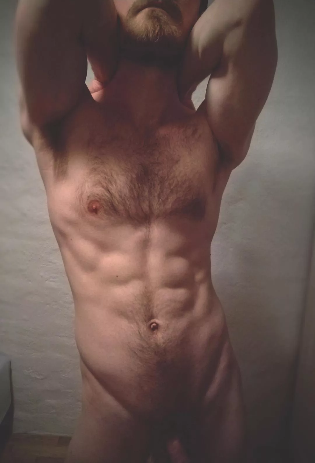 Torso