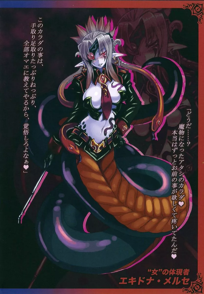 Translation for Monster Girl Encyclopedia lore Books in English