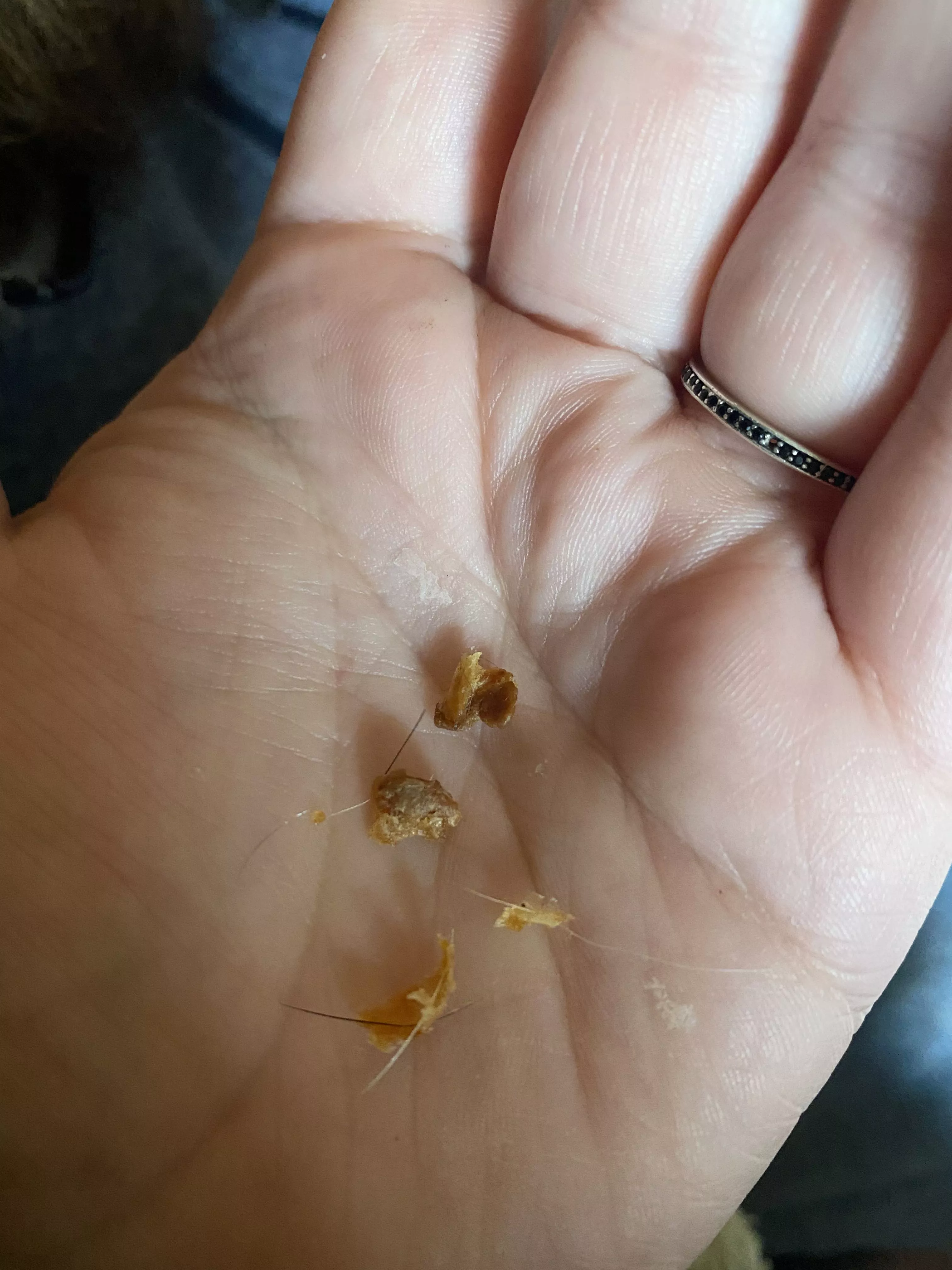 Treasure mine I pulled from my husbandâ€™s ear