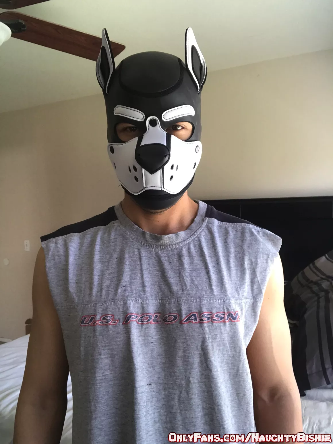 Tried on a pup mask. How do I look?