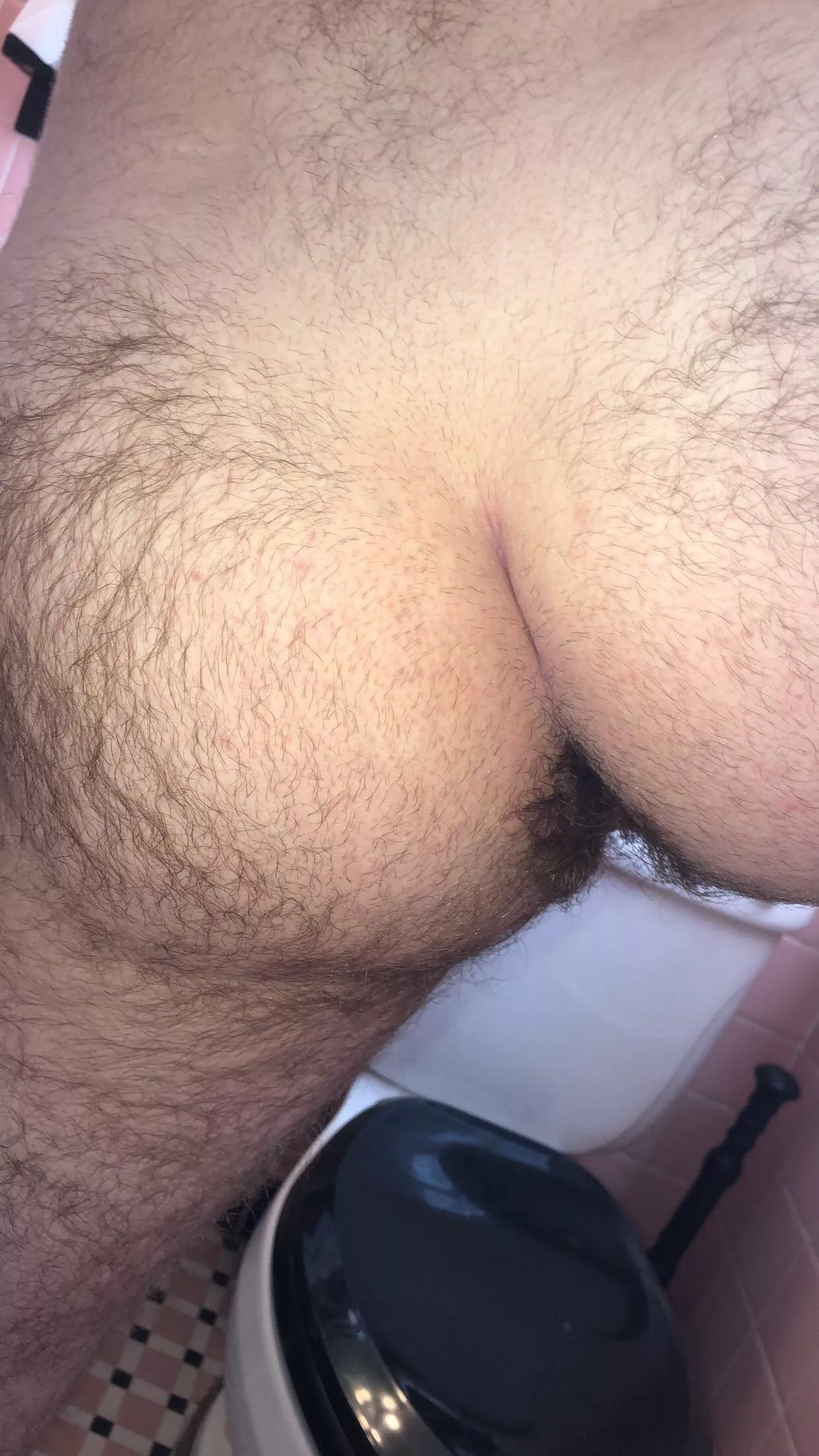 Trying to focus on college algebra is impossible when your horny and want to get plowed. So hereâ€™s my ass