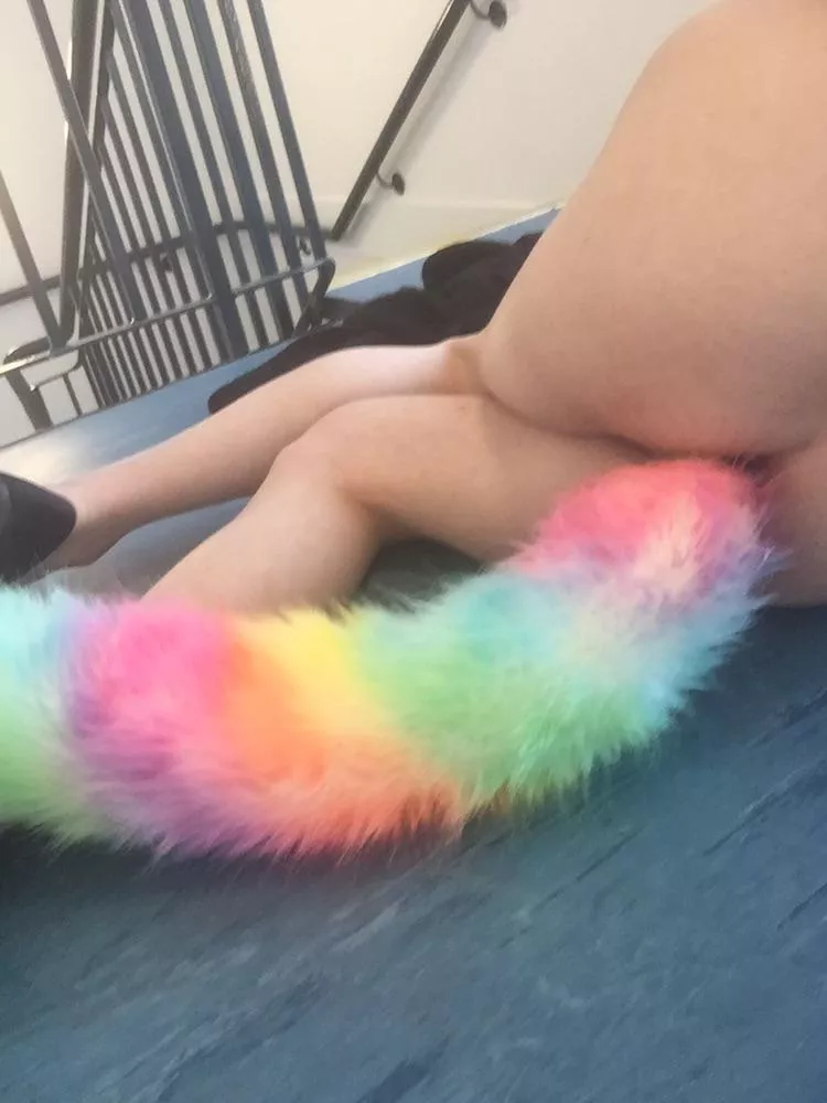 Two foot rainbow tail in public!