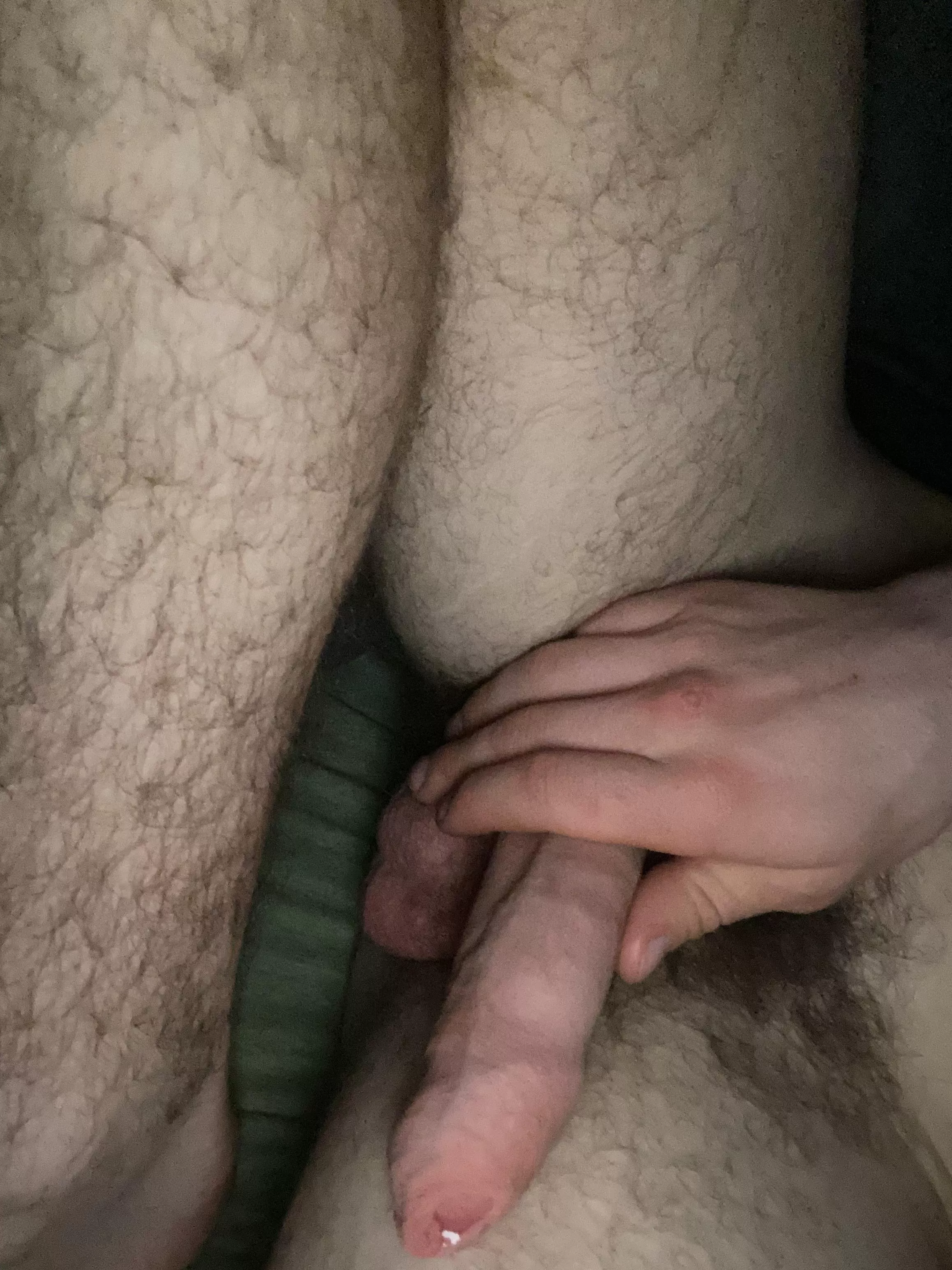 Untrimmed with foreskin full of precum