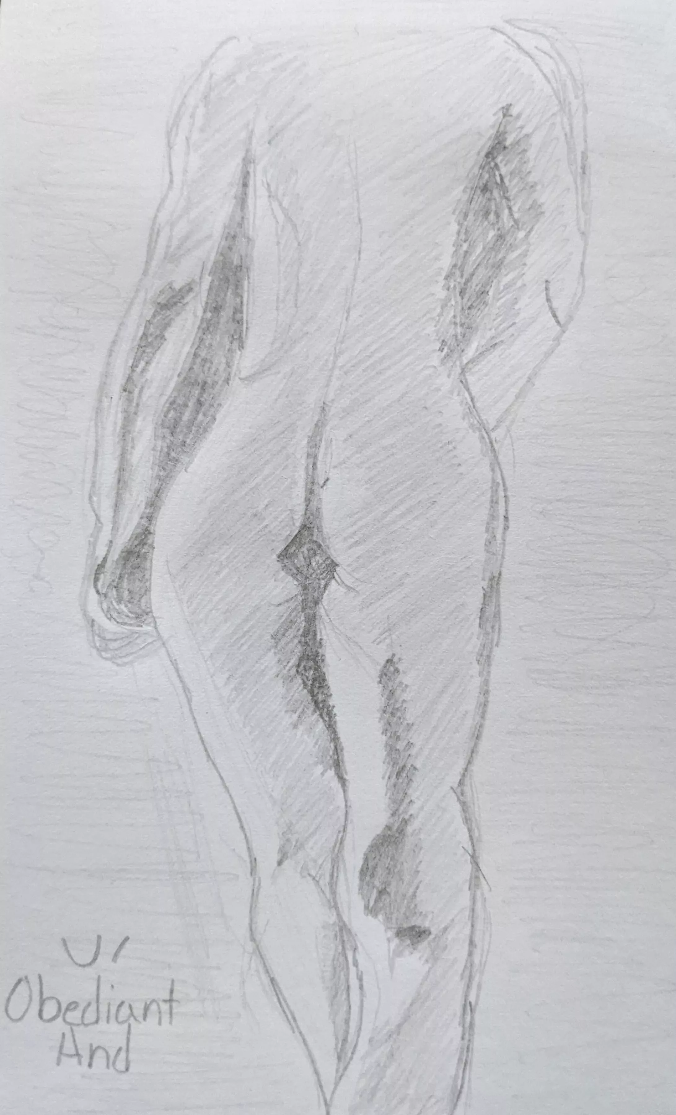 u/ObediantAnd's Study of an Ass in pencil form