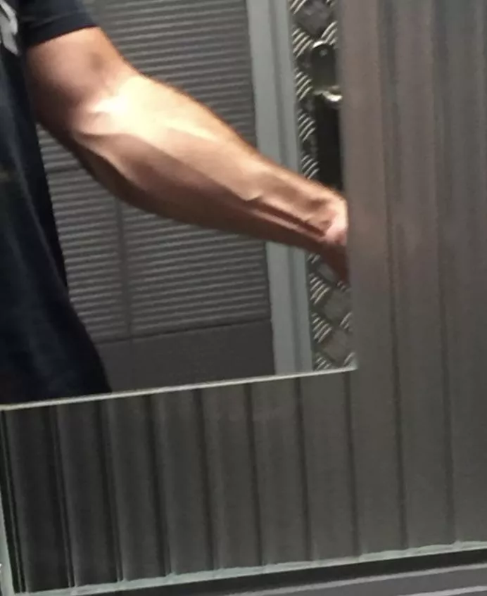 Veiny