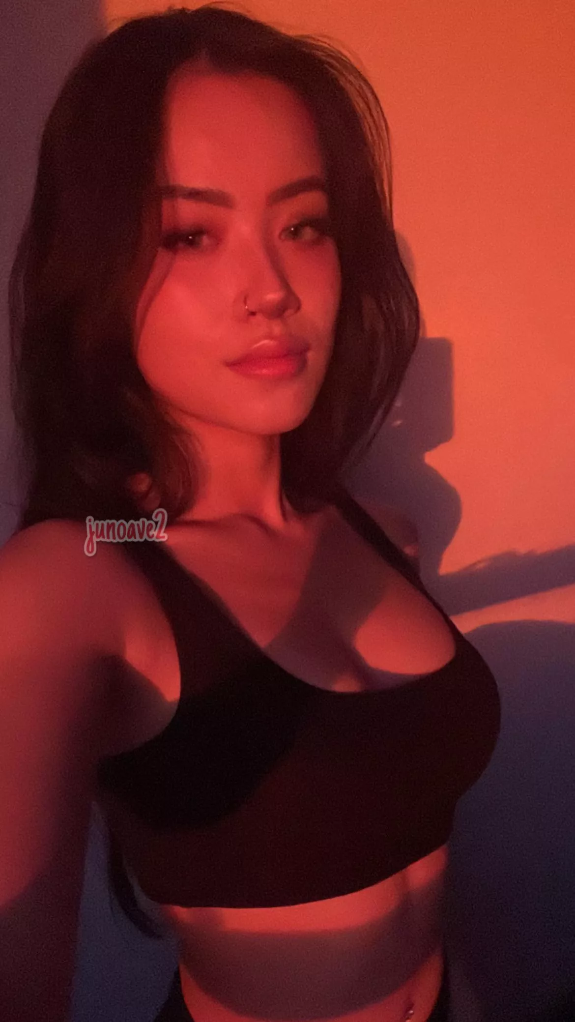 vietnamese x chinese x french