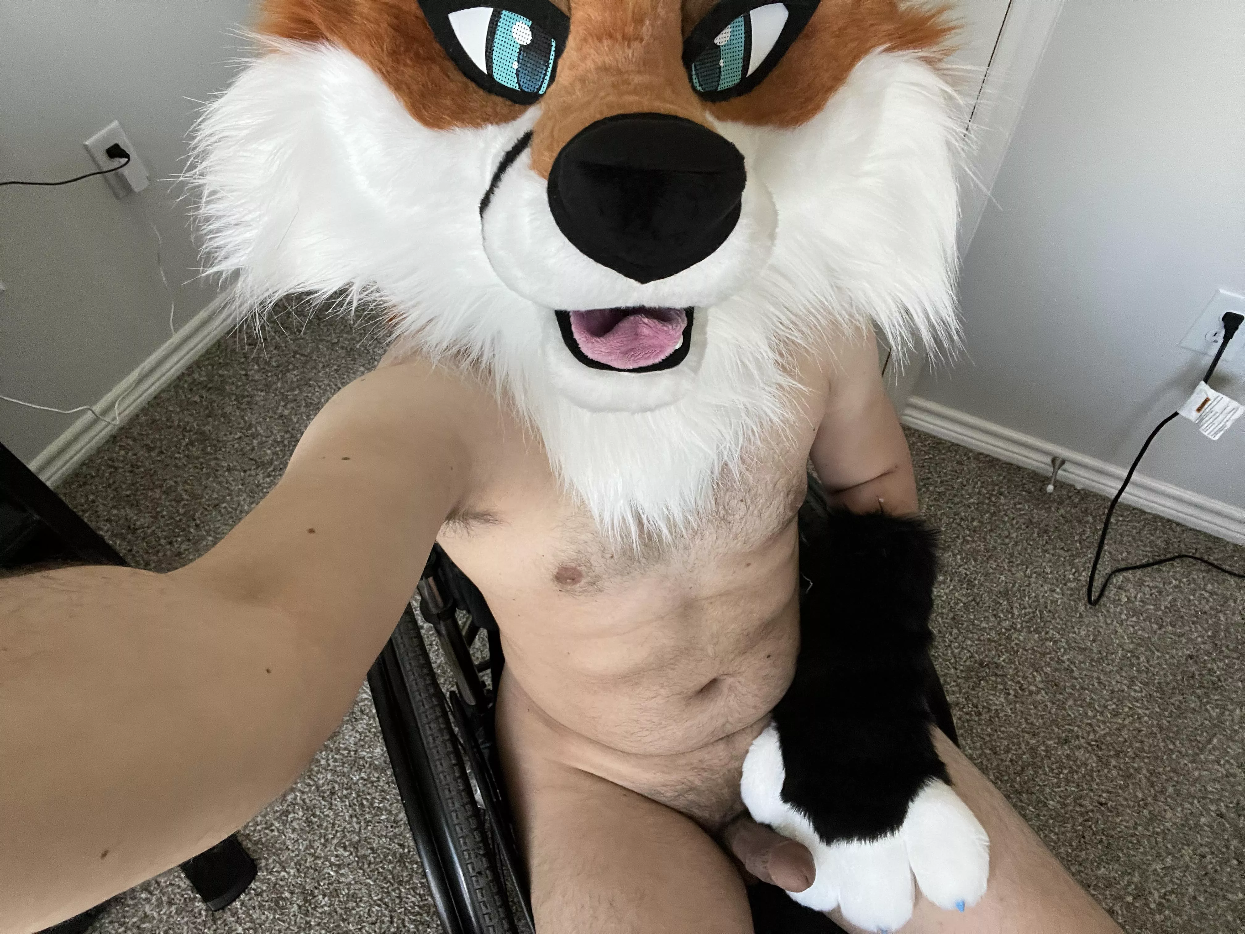 Wanna go fur a ride? New content on my OF