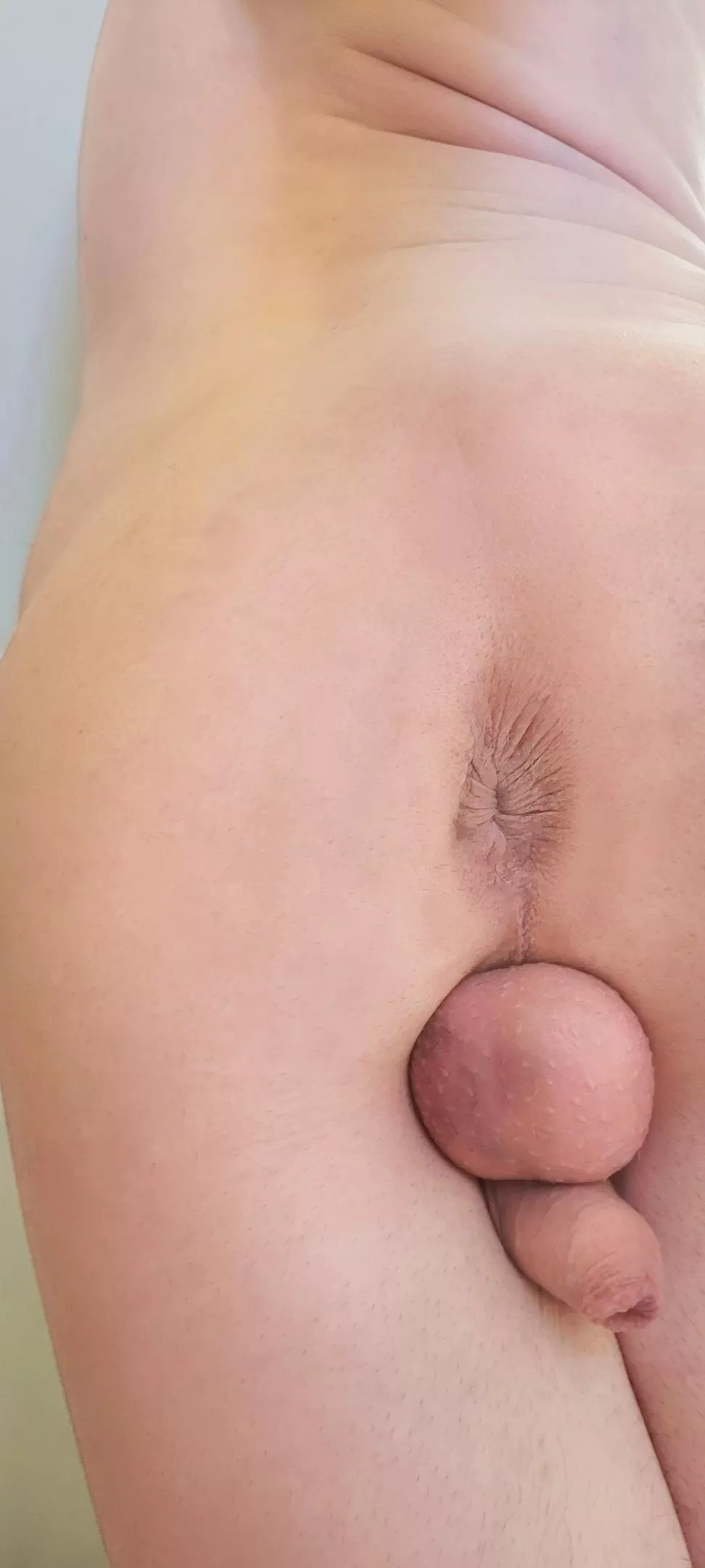 Wanna touch it?😘[21][OC]