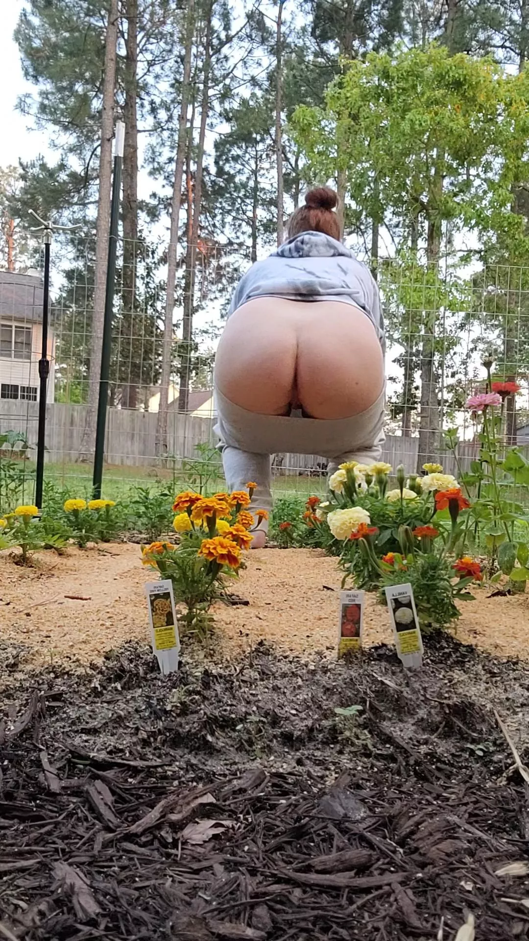 Want to join me in the garden?