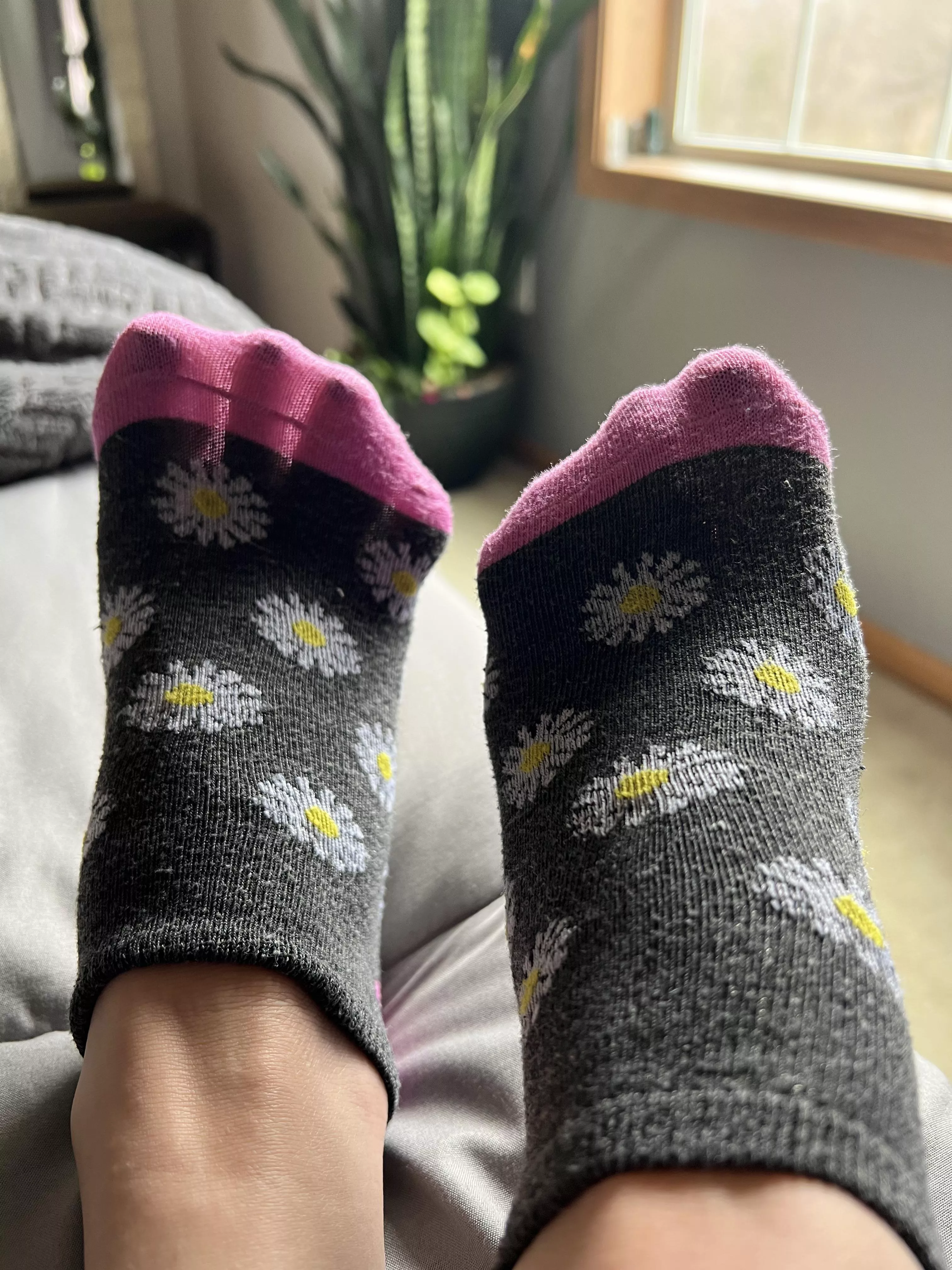 what a cute little pattern, but i promise they don’t smell like flowers 🌼🤣🦶🏻