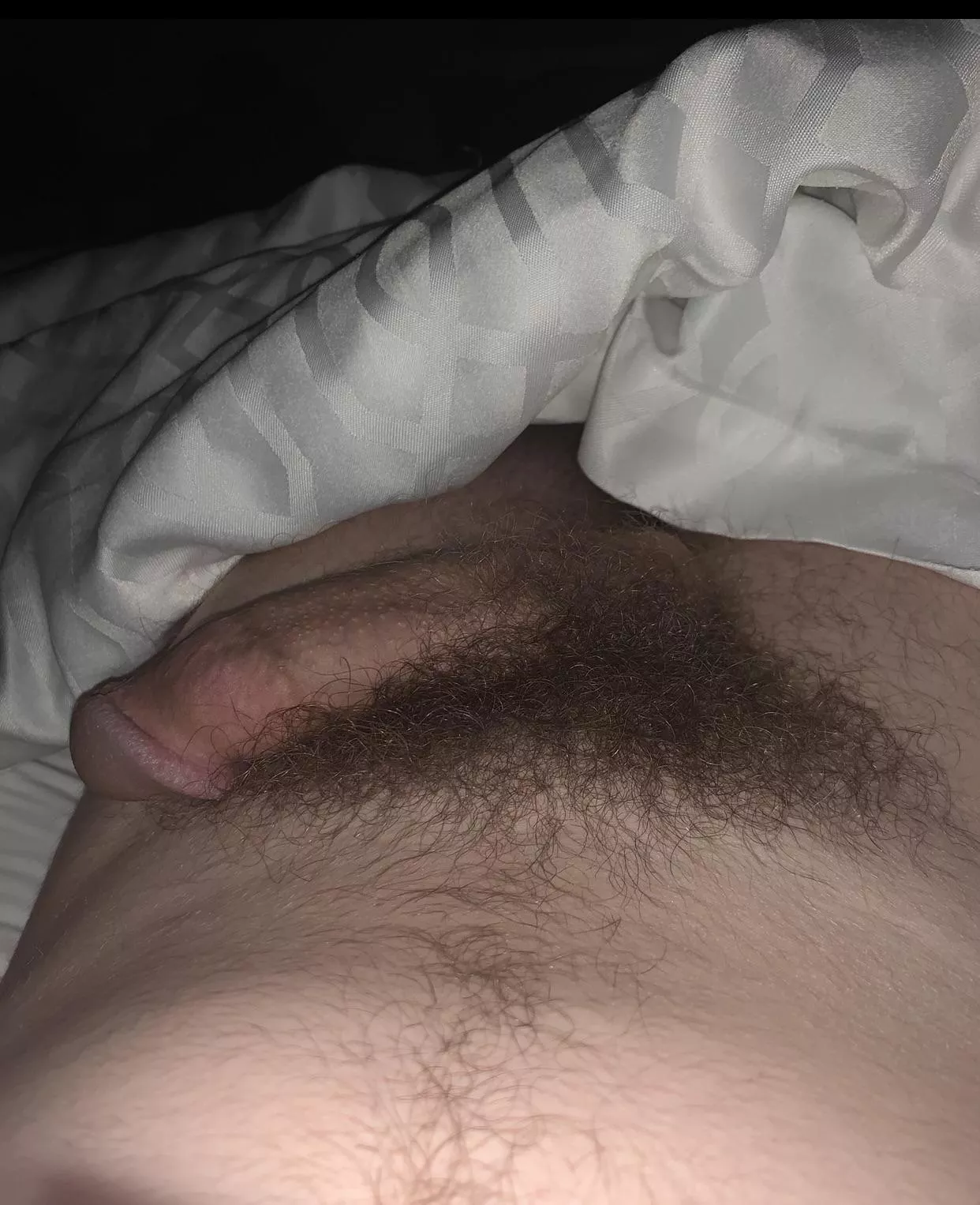 What do people think of soft dicks