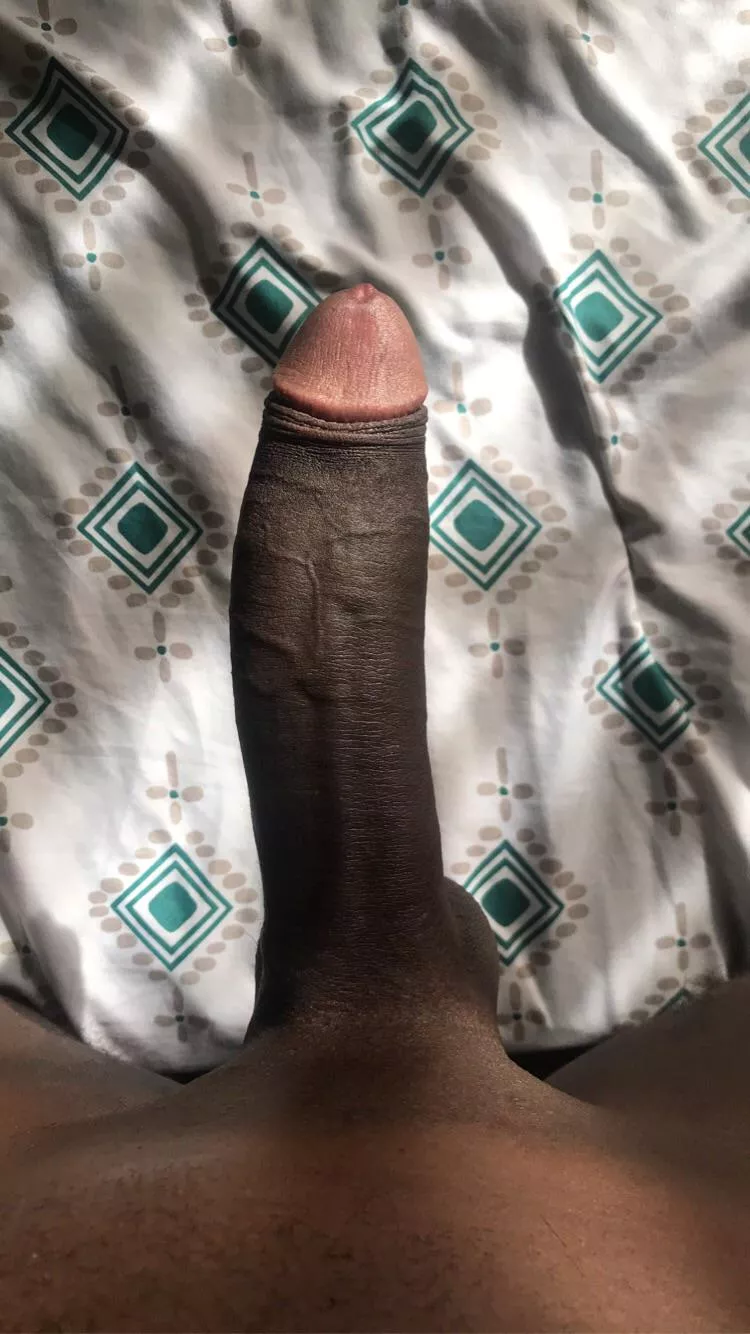 What do you think about my 19yo cock