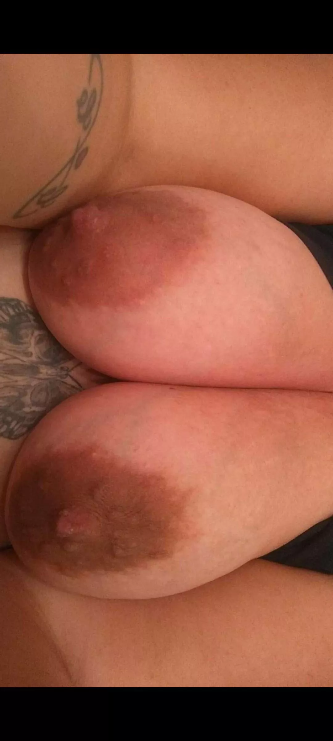 What do you think of my titties?