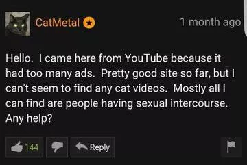 Where those pussy videos at?