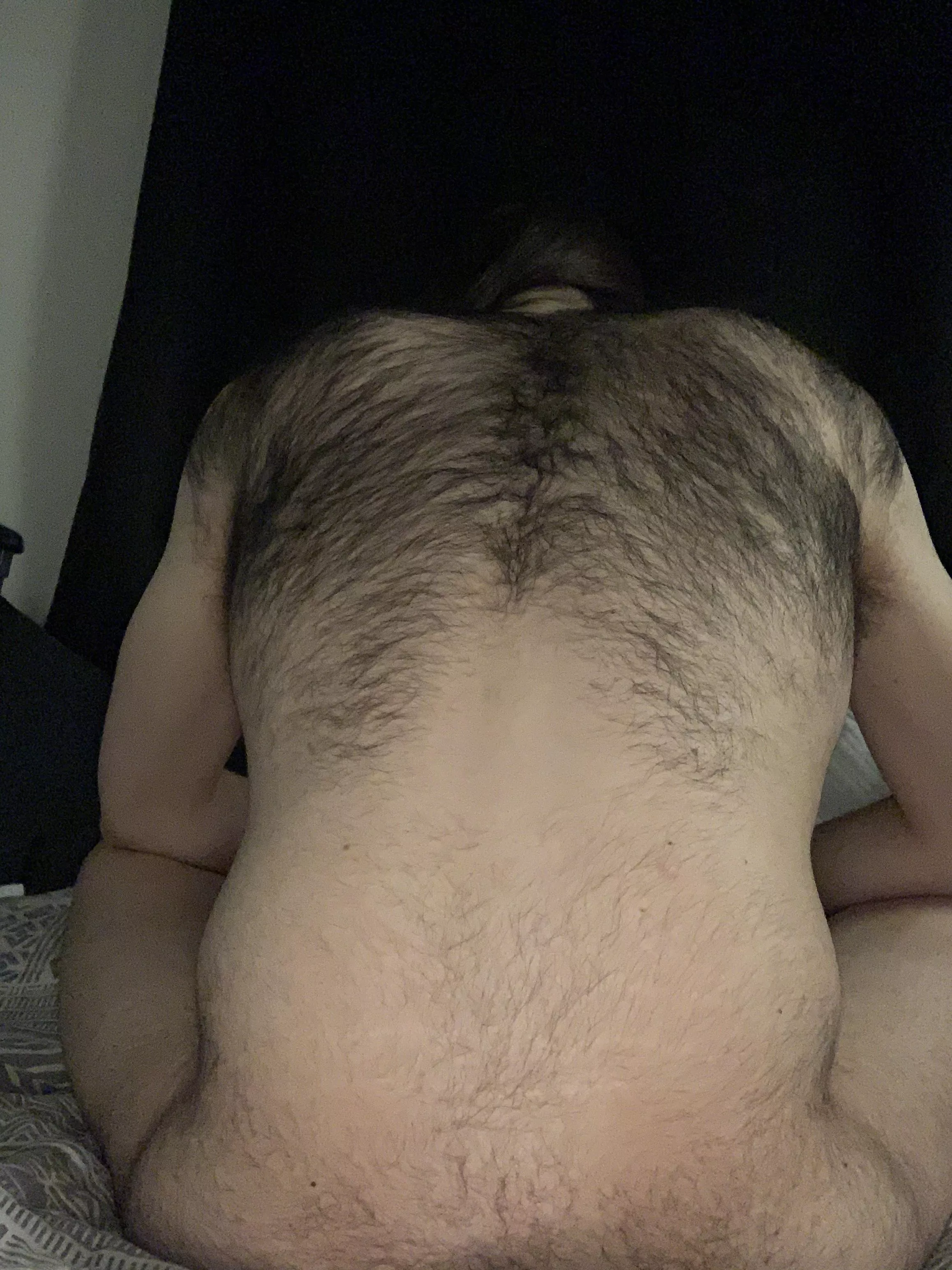 Who lieks a hairy back?