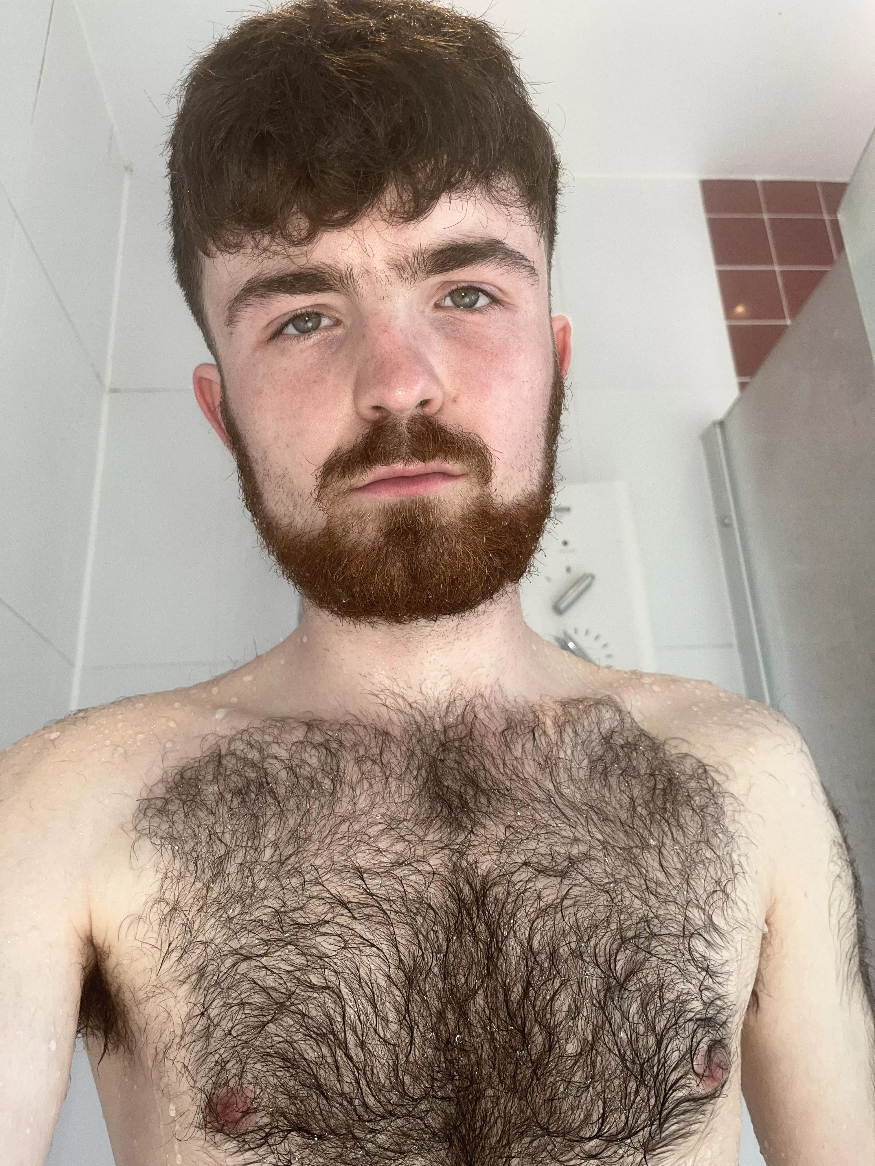 Who remembers me? Different account same hairy chested 20yo