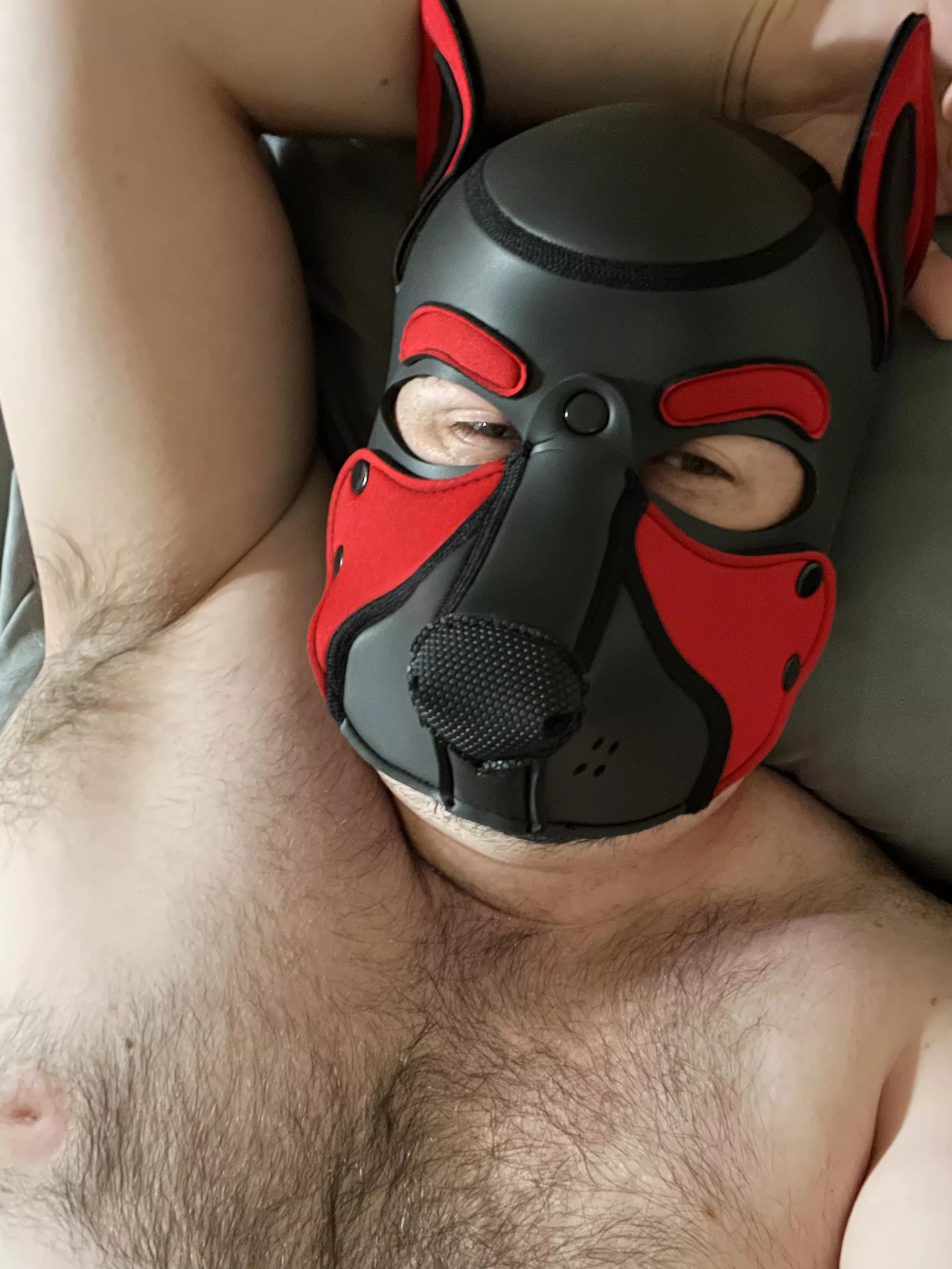 Who wants cuddles? ðŸ¾