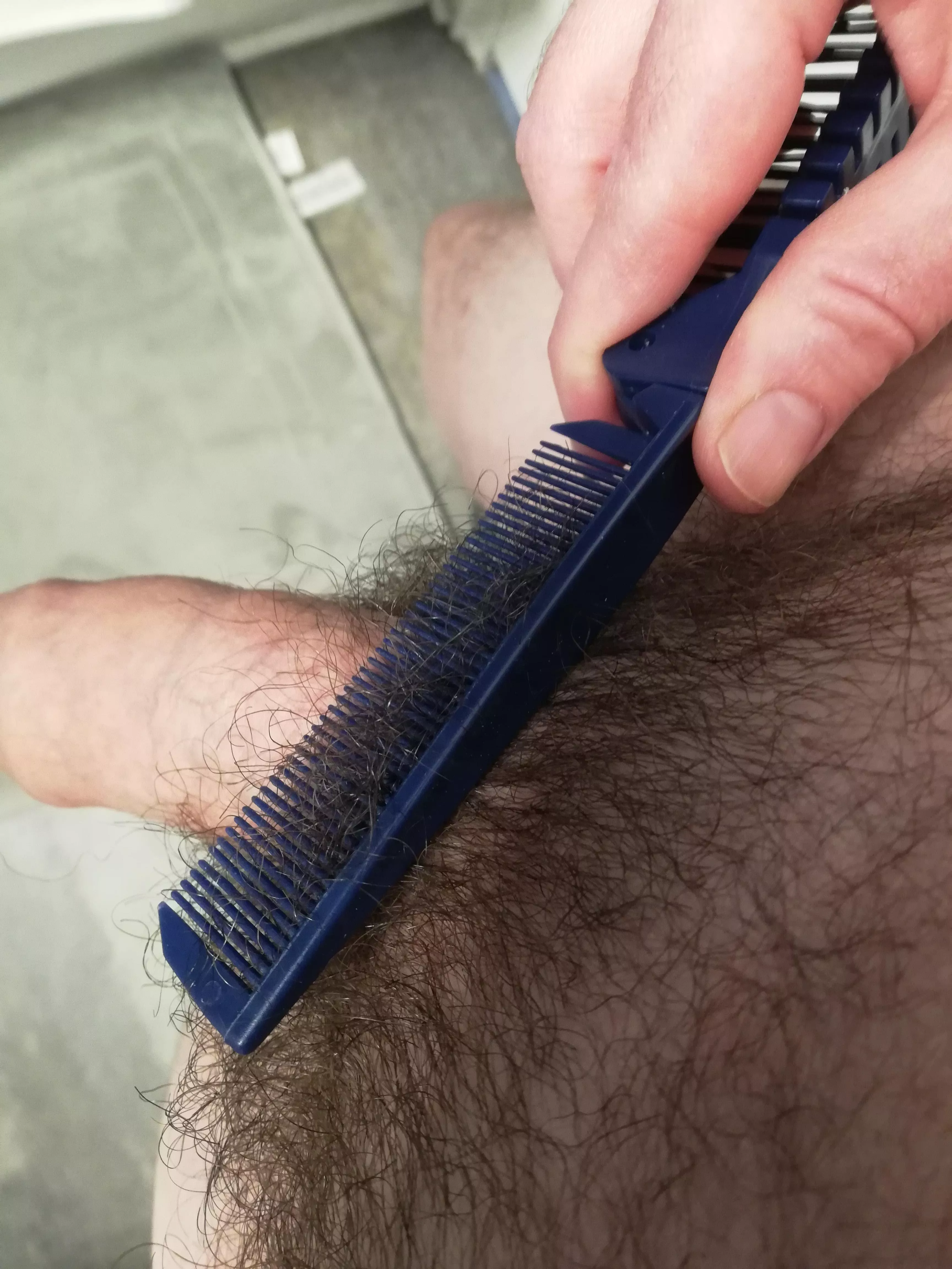 who wants Daddy comb his fur?