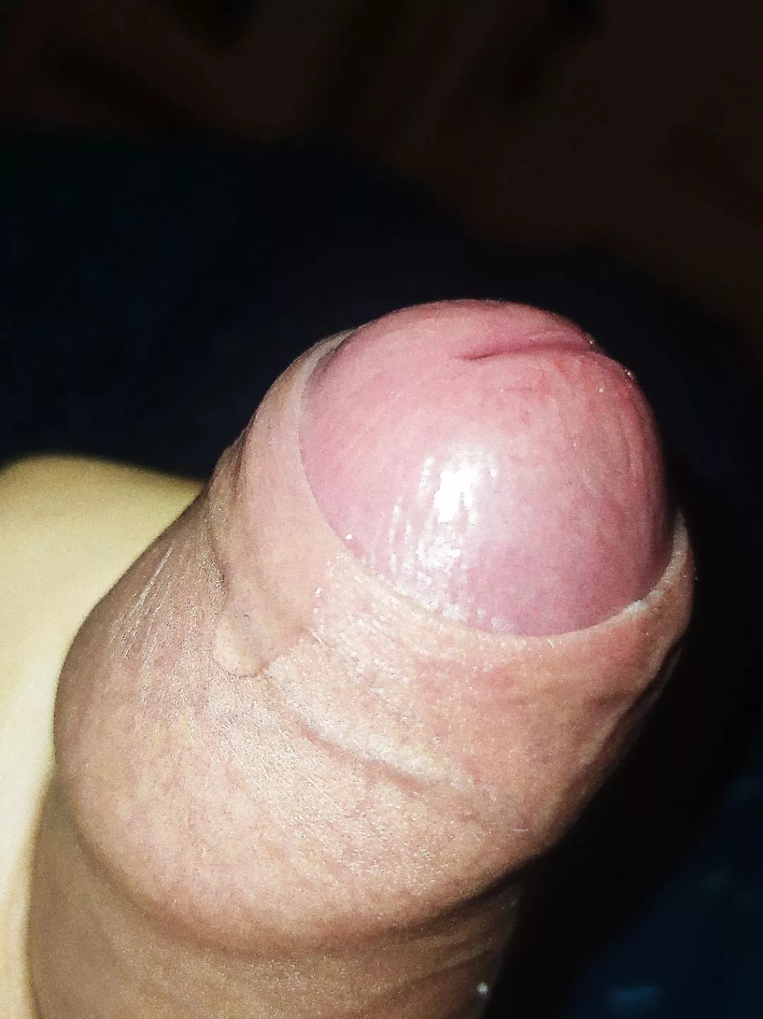 who wants to lick the precum of my tip