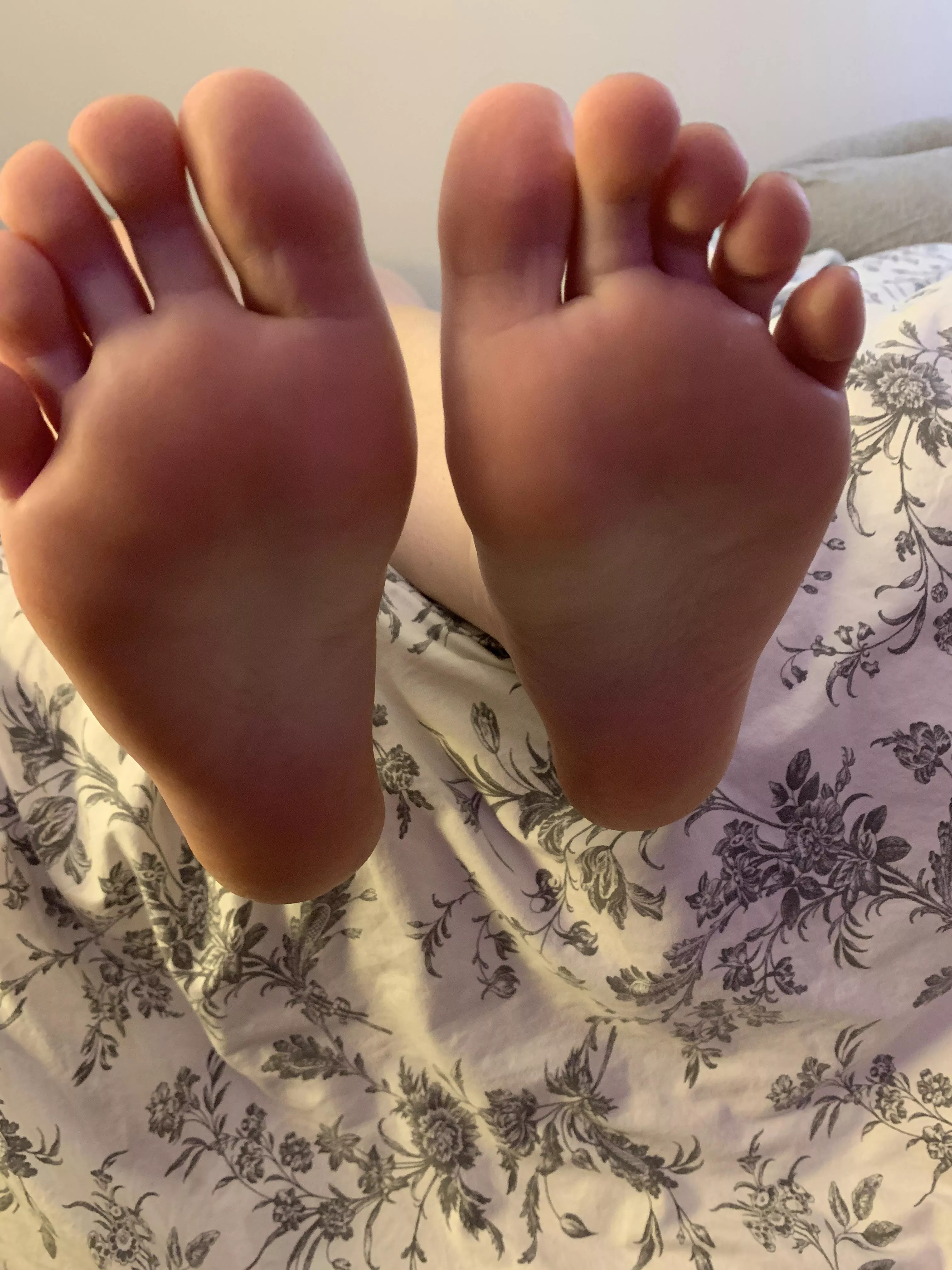 Who wants to tickle my feet? 🪶