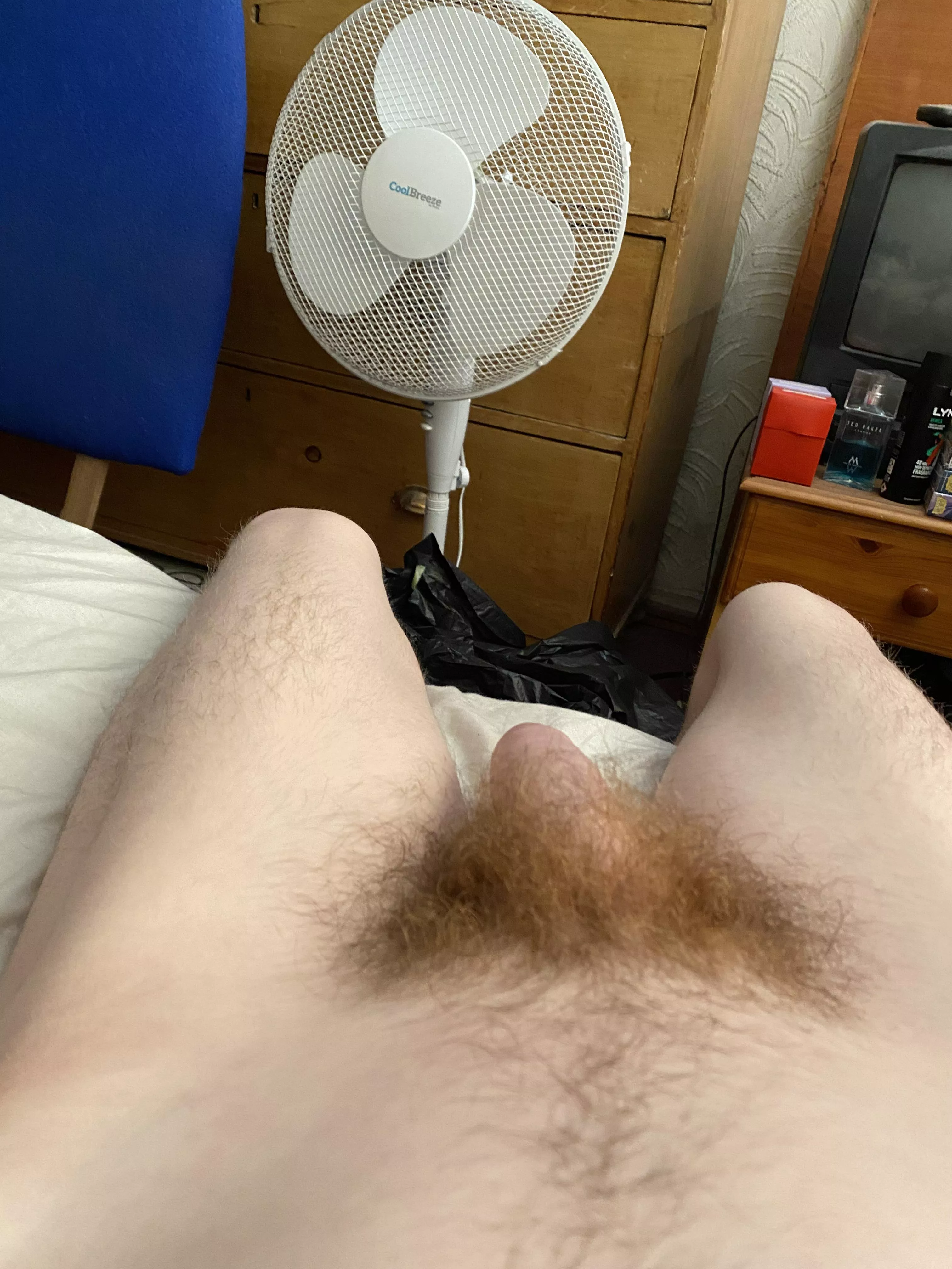 Who wants to wake my hairy cock up?