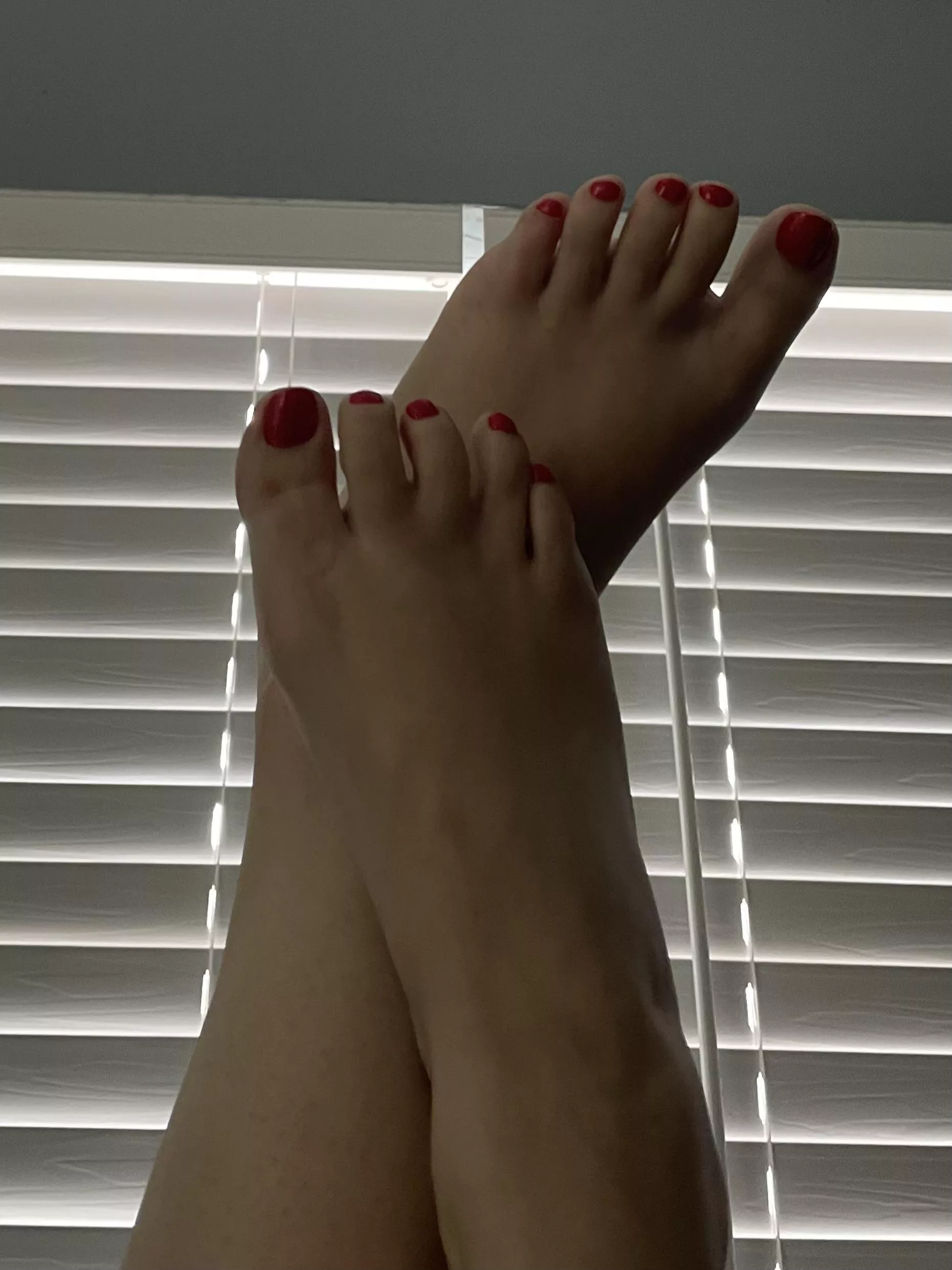 Who wants to worship my feet?