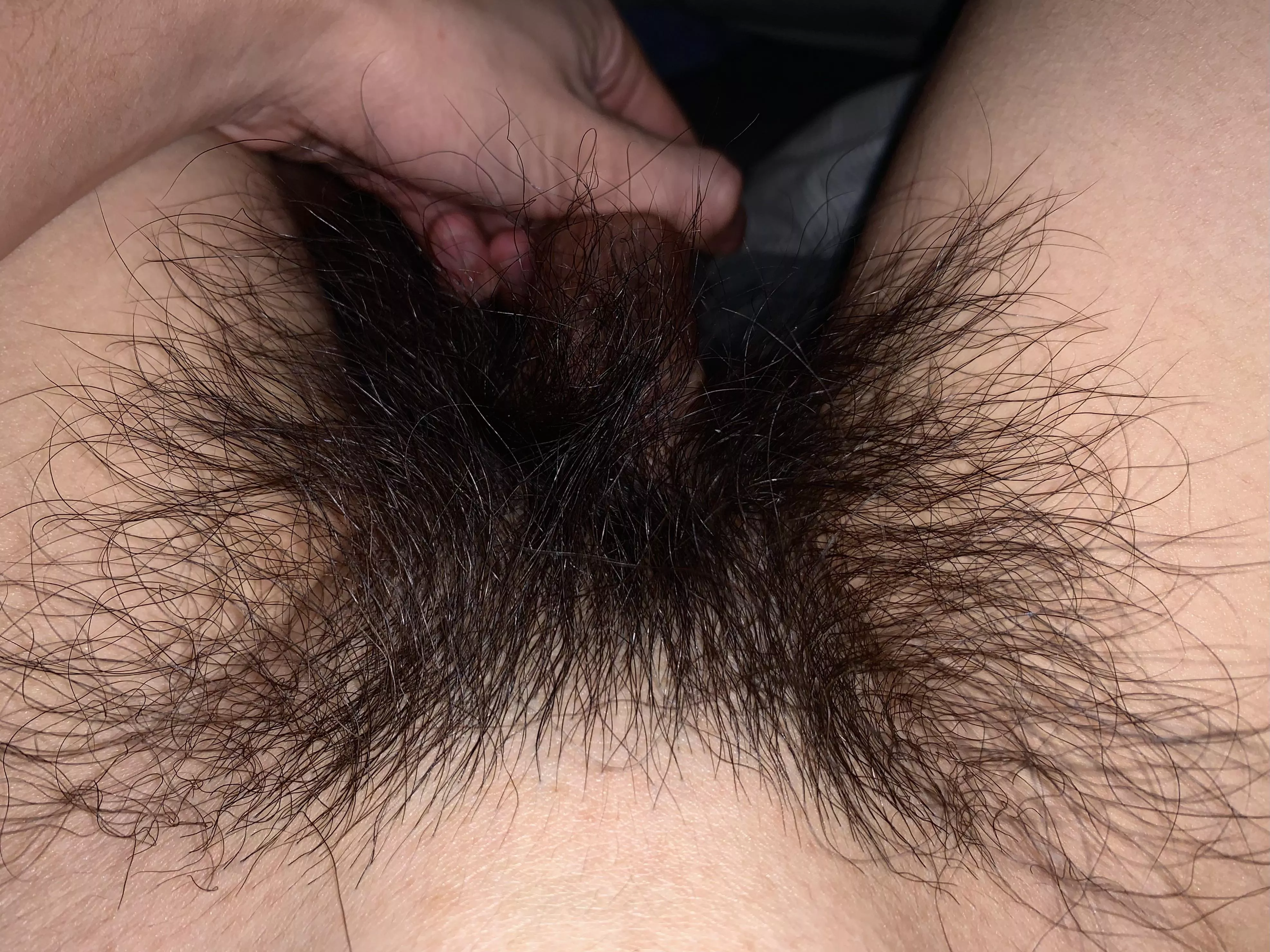 Who wants to worship these pubes?