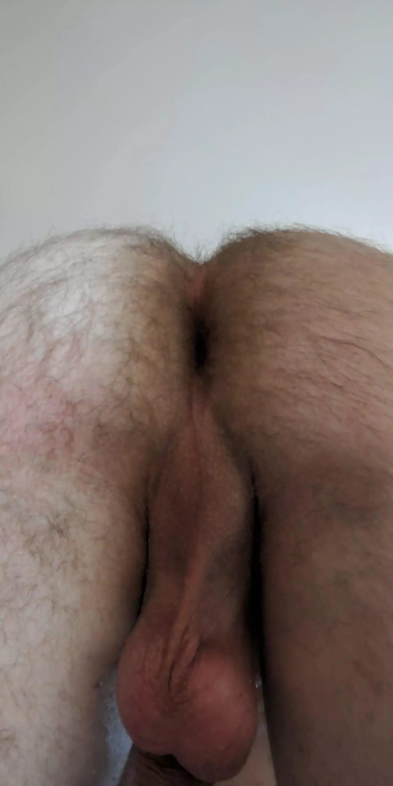 Who'd lick my balls or ass?