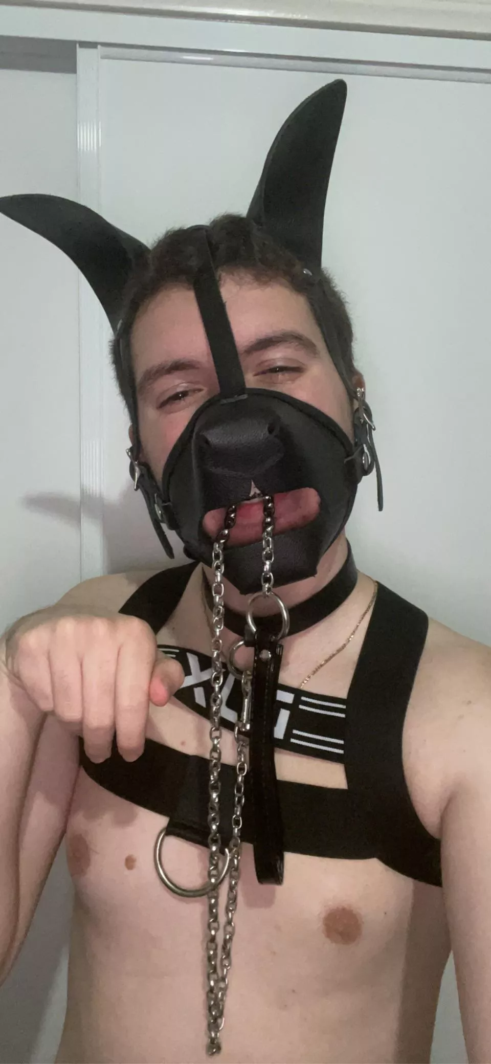 whoâ€™s taking me walkies? ðŸ• ðŸ¾