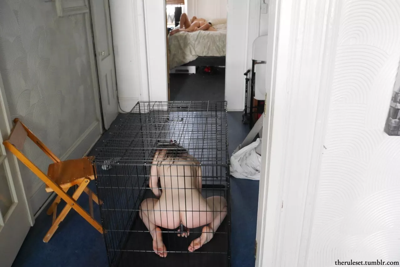 Wife locked in a cage, playing with a toy watching her husband fucking his mistress