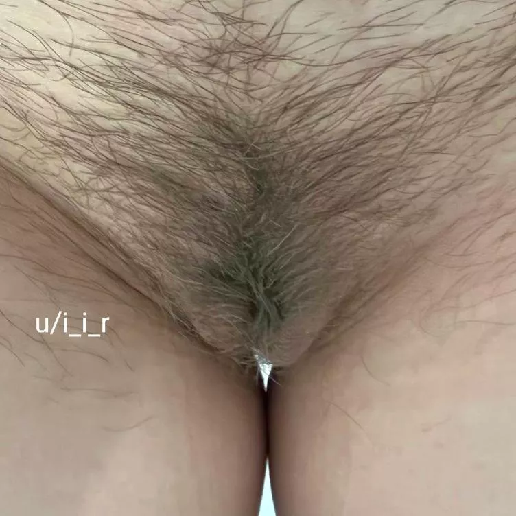 Wife's hairy slit