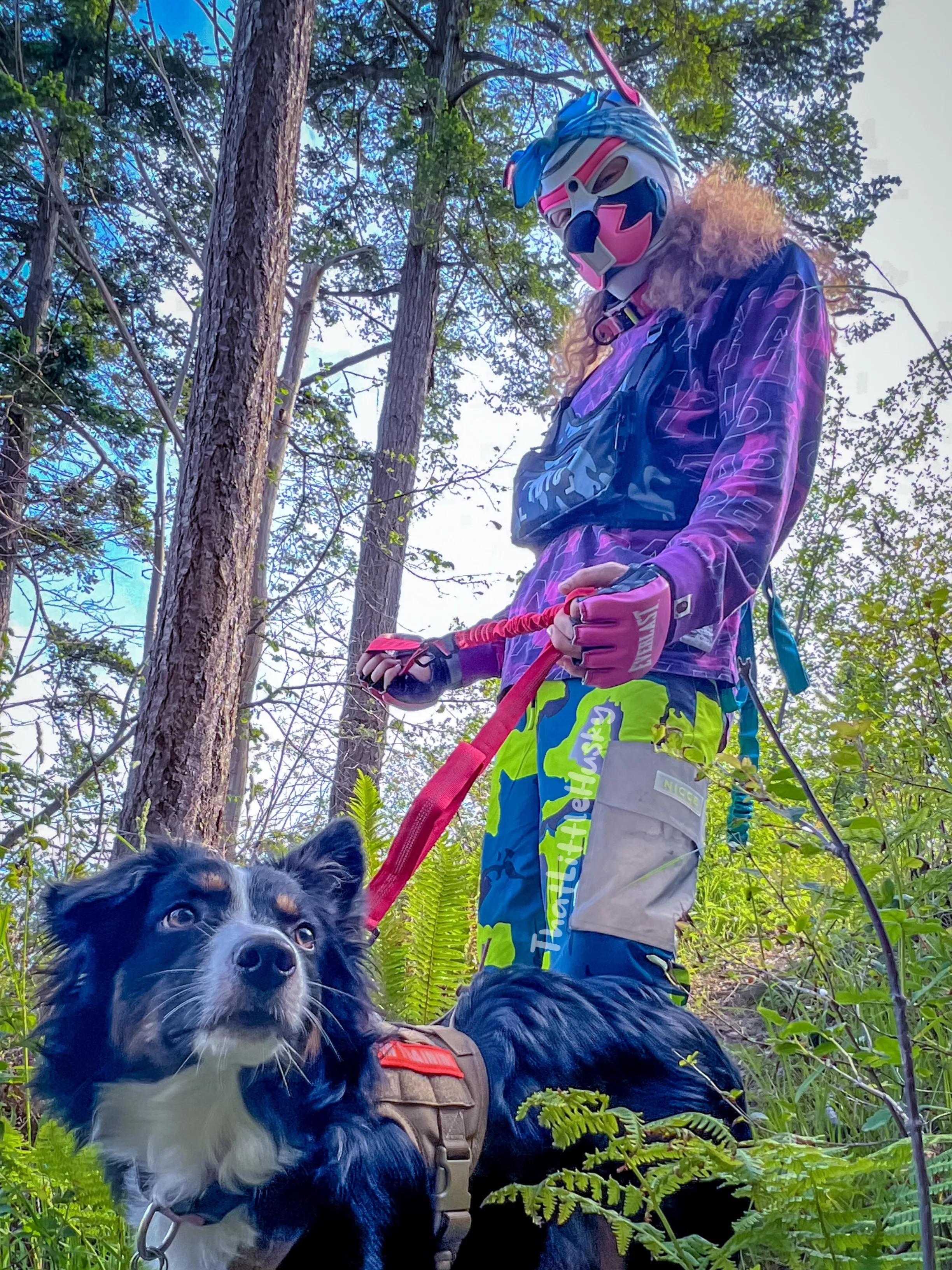 Wilderness Walkies~ ðŸ•â€ðŸ¦ºðŸºðŸžï¸