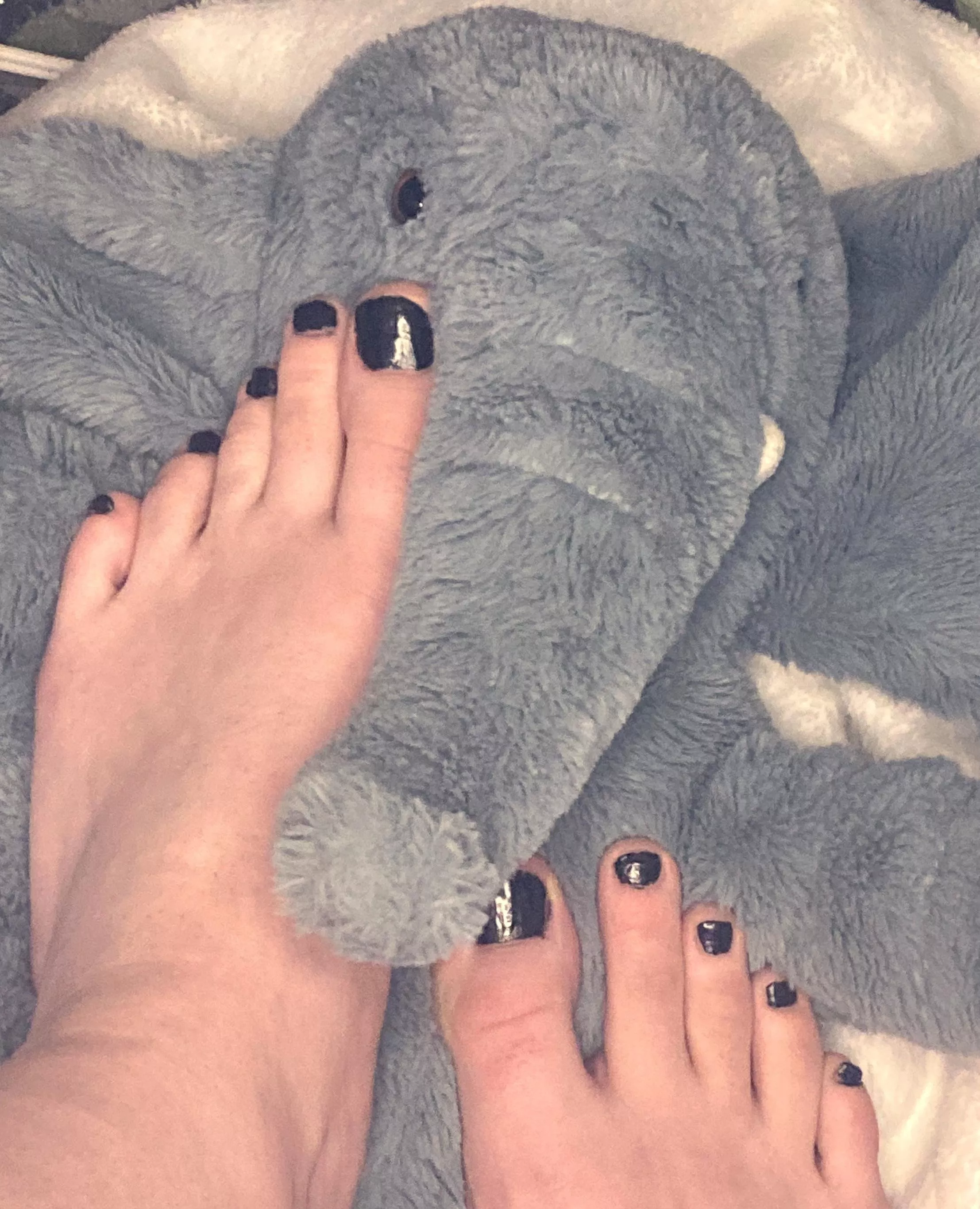 Wish I was pouncing on you â¤ï¸ Dms Welcome ðŸ˜š