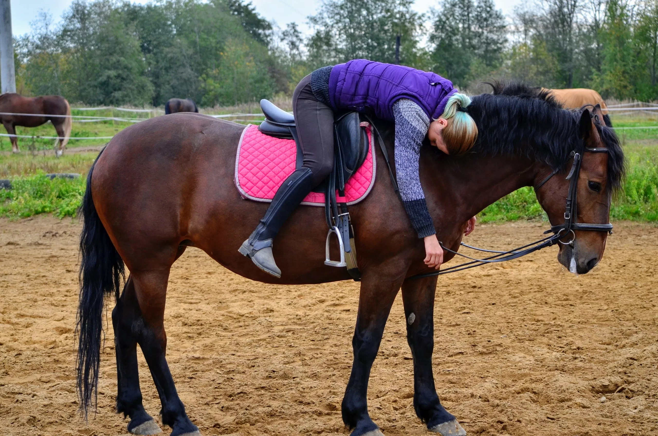 With a ponytail, it is very convenient to ride a horse. And rest after, lol.