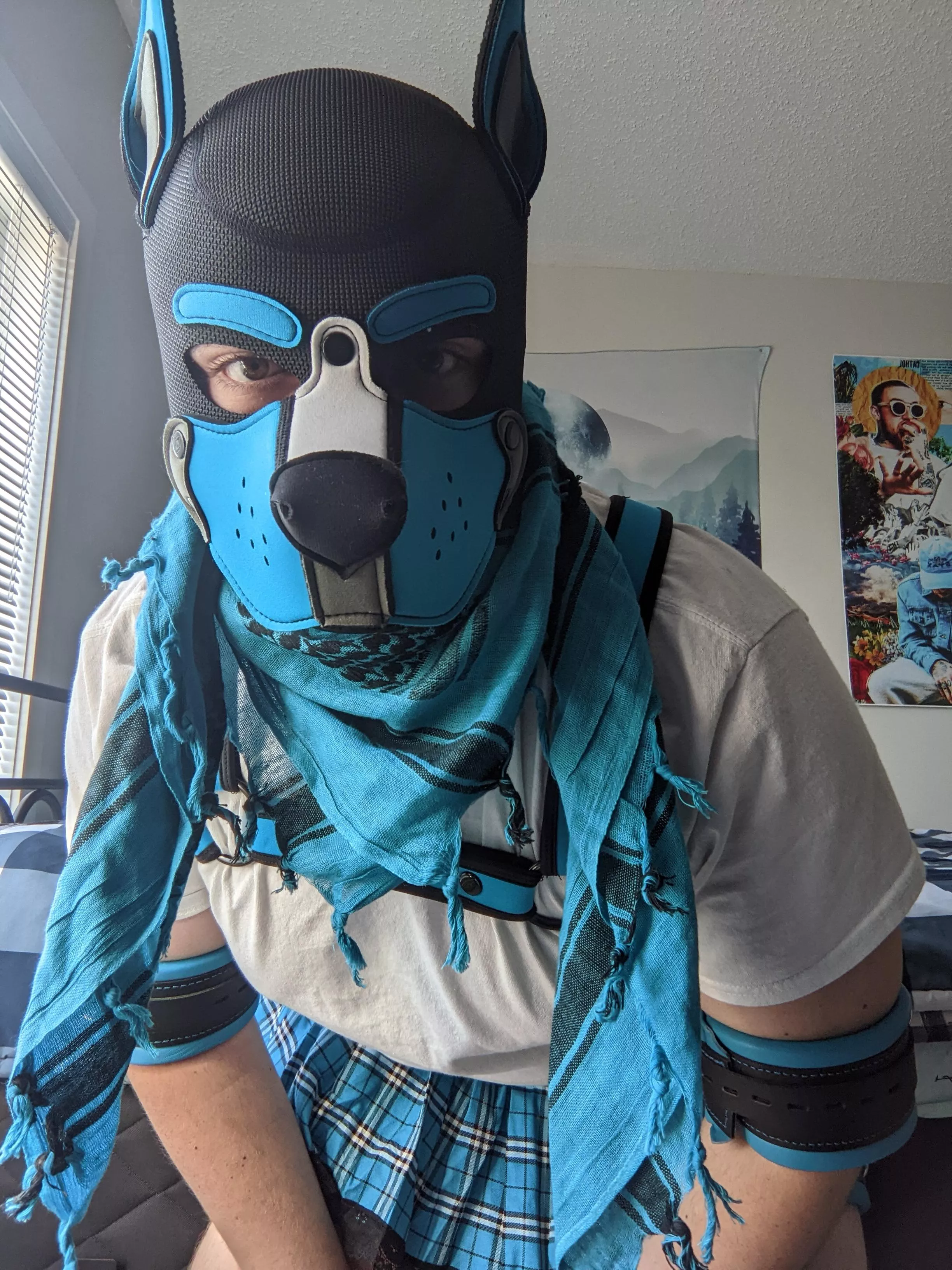 Woof! ðŸ’™