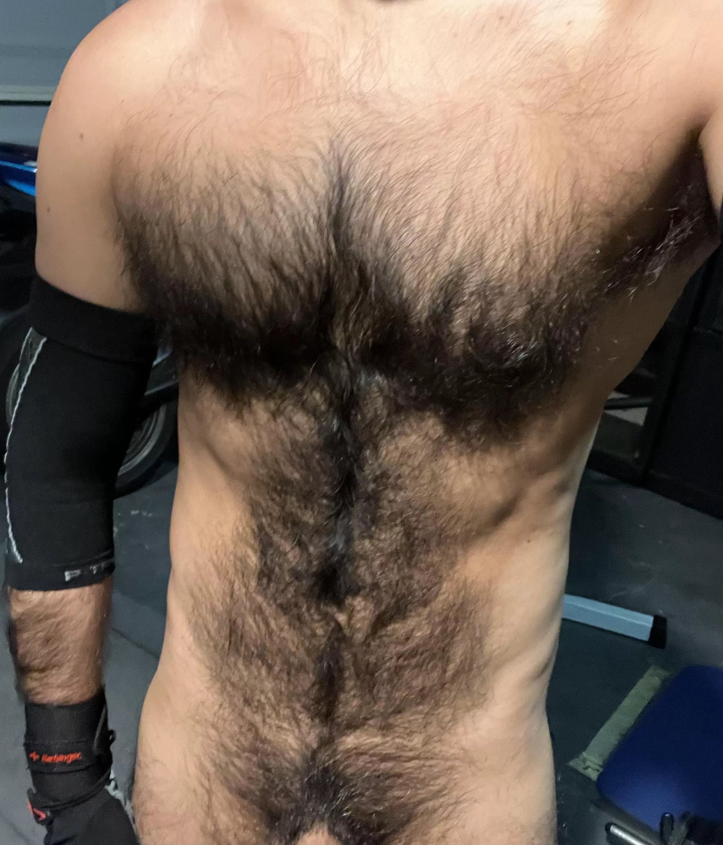 workout fur