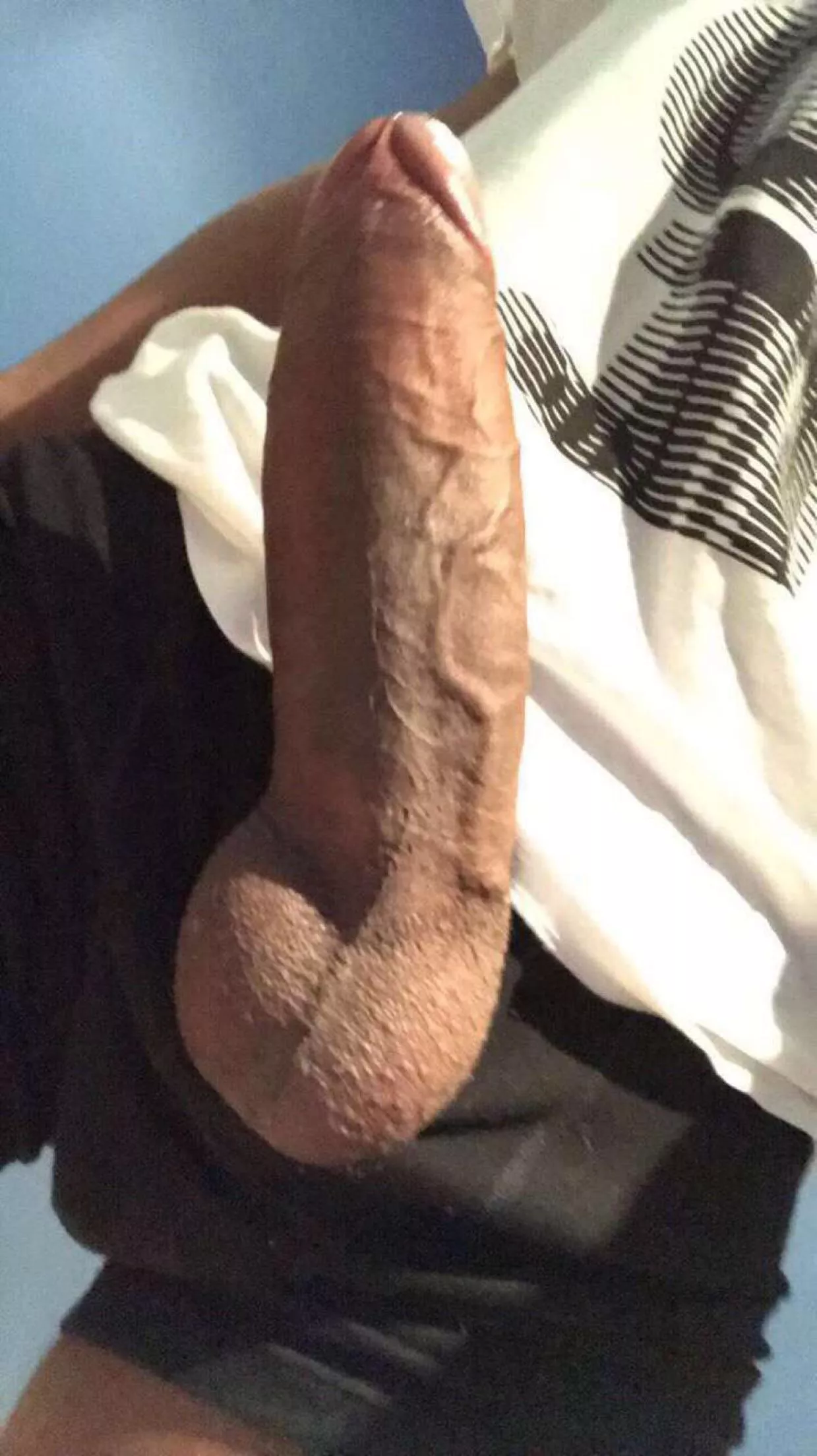 Worship my bull cock