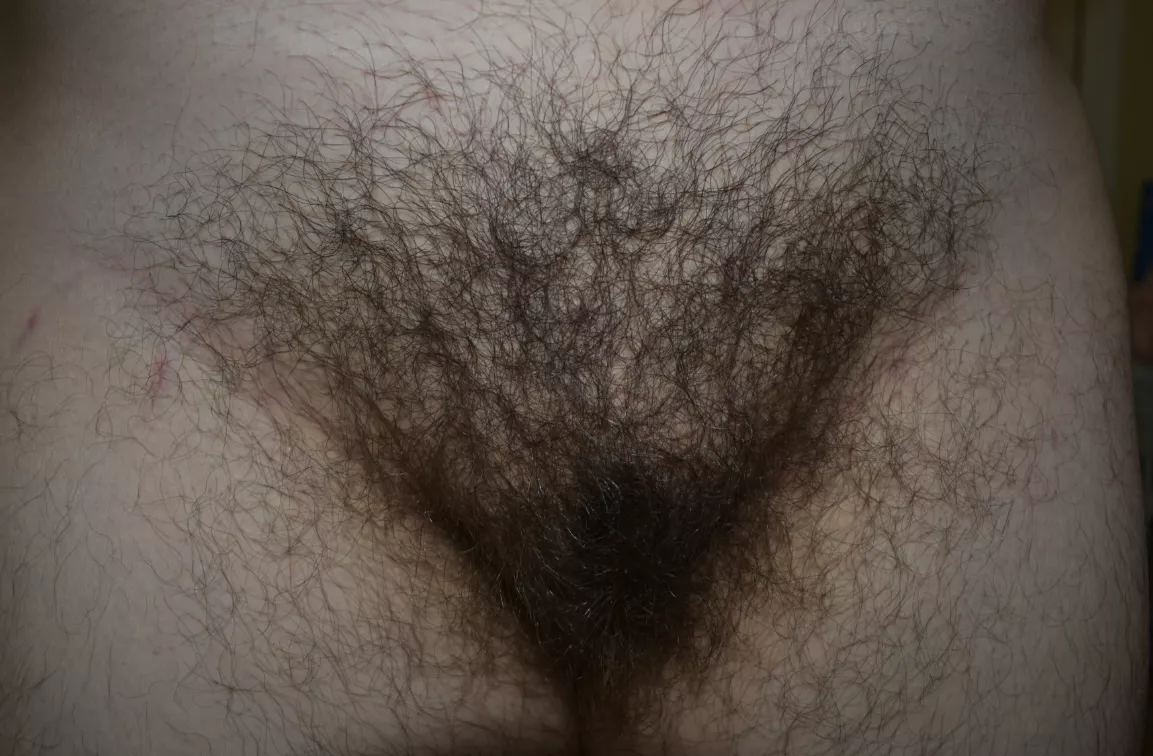 Would you eat a pussy this hairy?