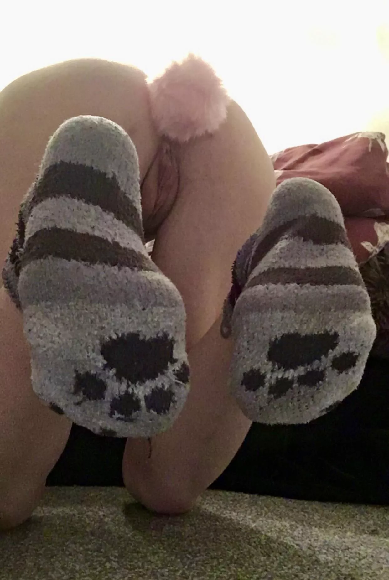 Would you kiss my paws or my pussy first? 😘