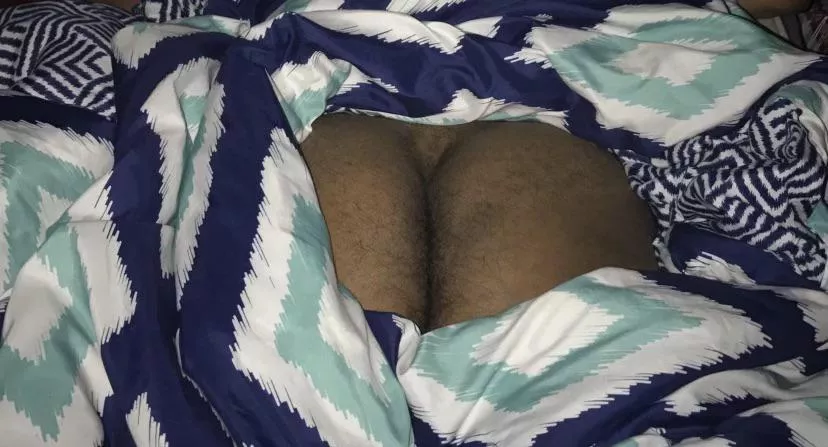 Would you take this ass?