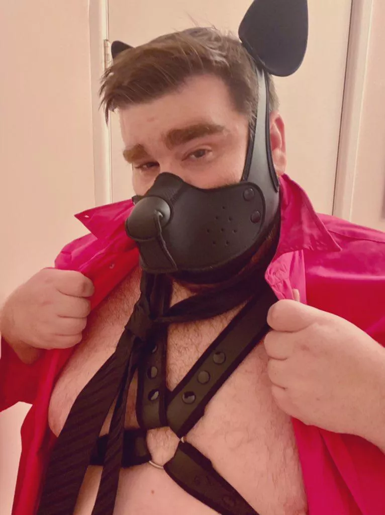 Wruff! Come here often?