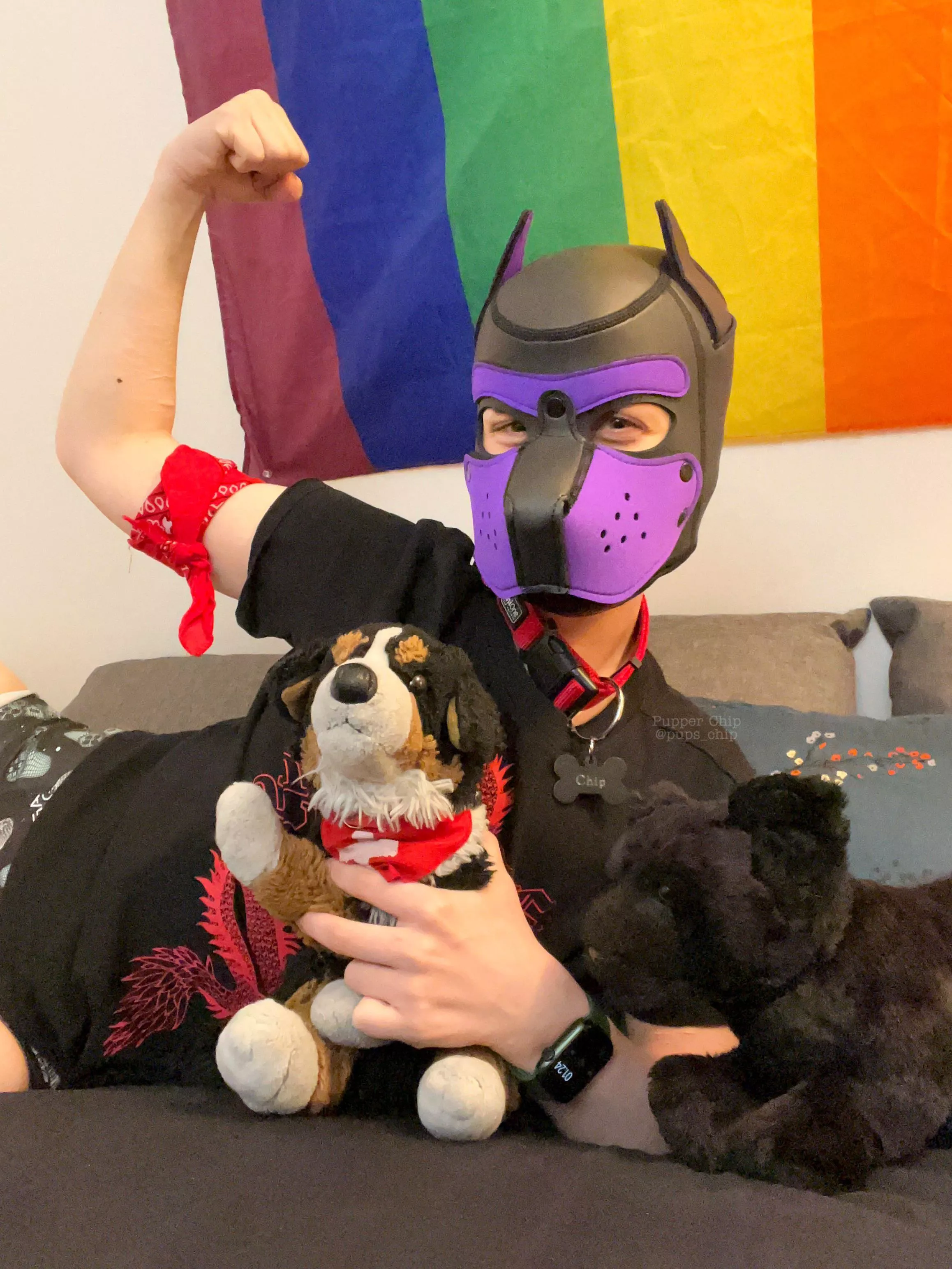 Wruff!! Otis and I just wanted to show our very big muscles ðŸ’ªðŸ» and Ninjaâ€¦ he is just happy to be here.