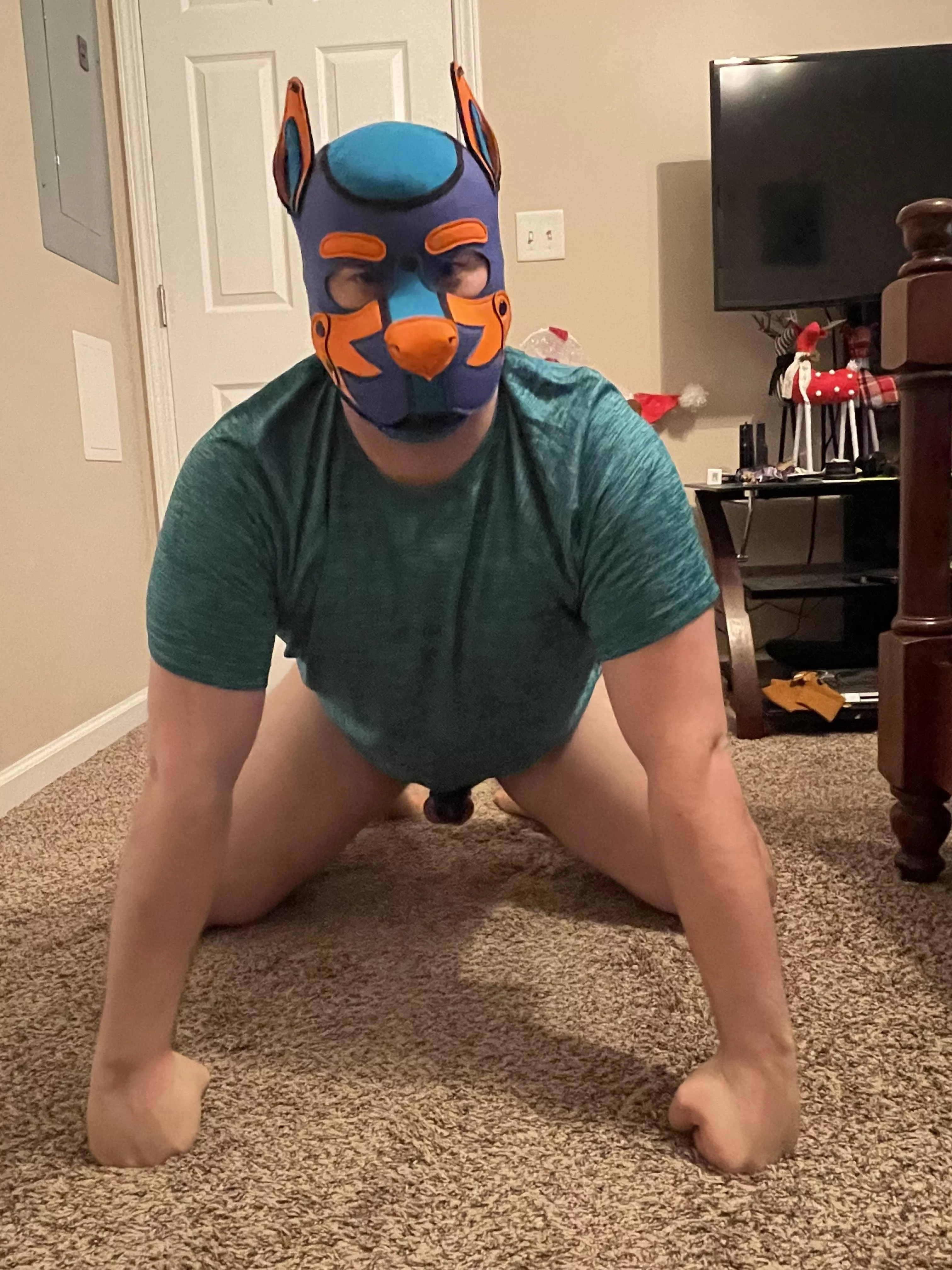 Wruff. Practicing being a good boi. How am I doing?