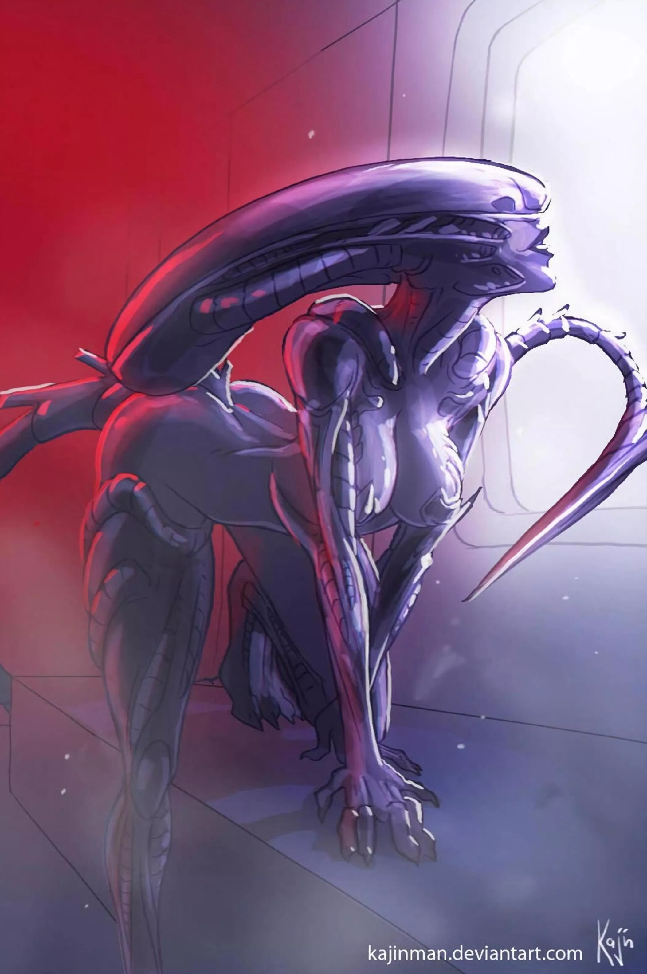 Xenomorph (Kajinman) [Alien]