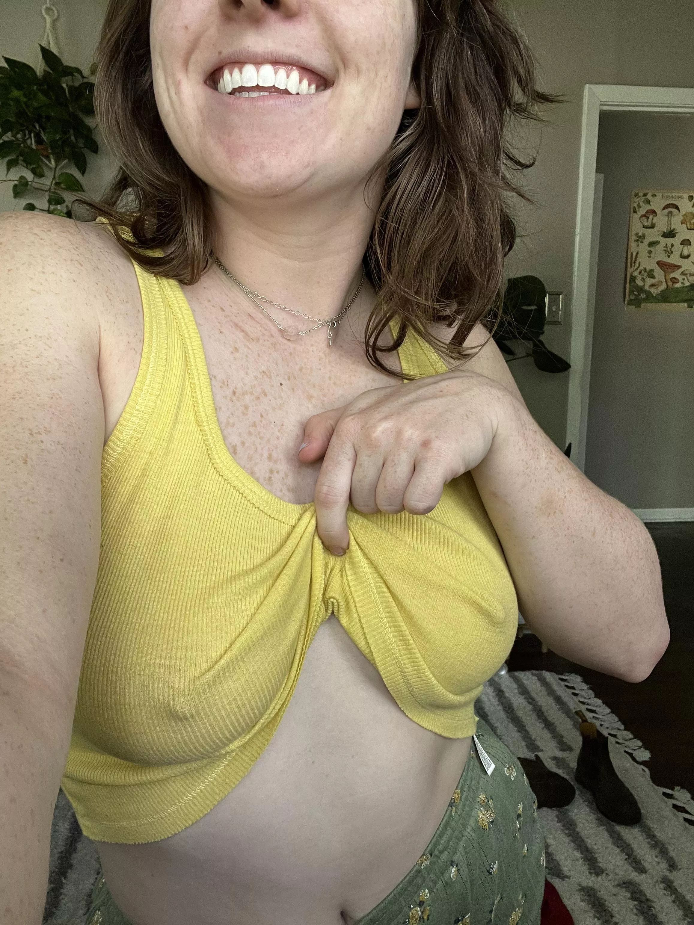 Yellow pokies