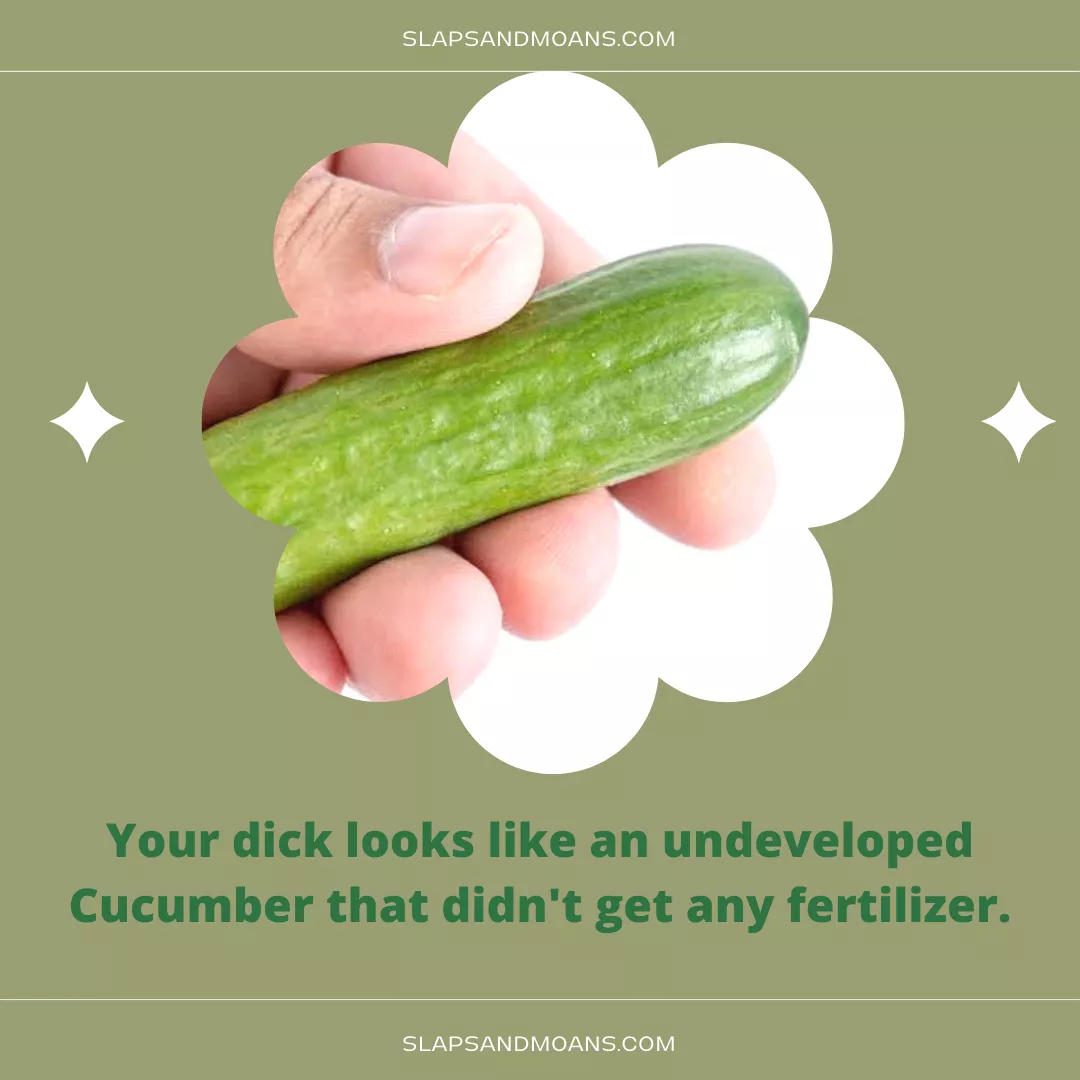 Your baby cucumber dick is pathetic.