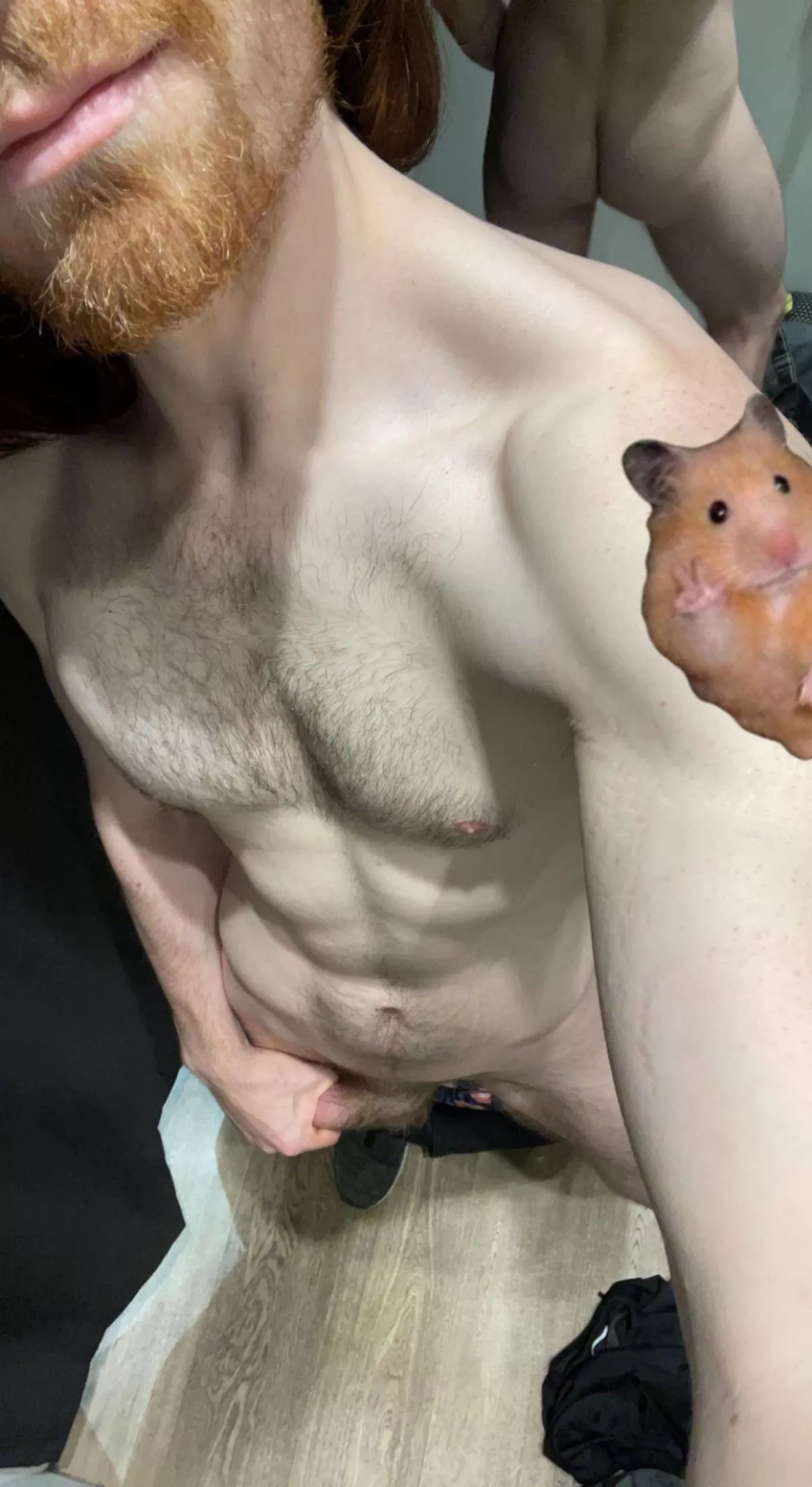 ðŸ¹âœŒðŸ»